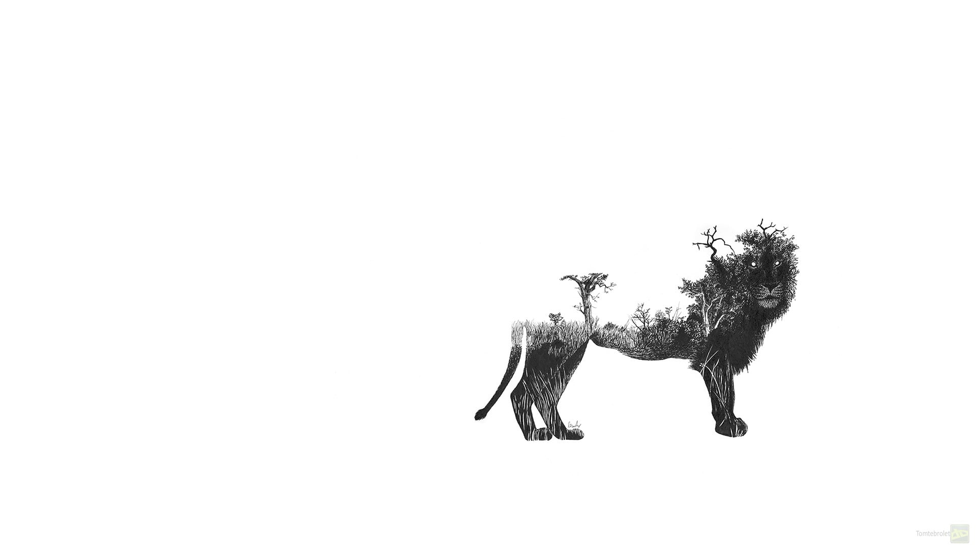 fantasy art, lion, Africa, copy space, animal, clear sky, plant