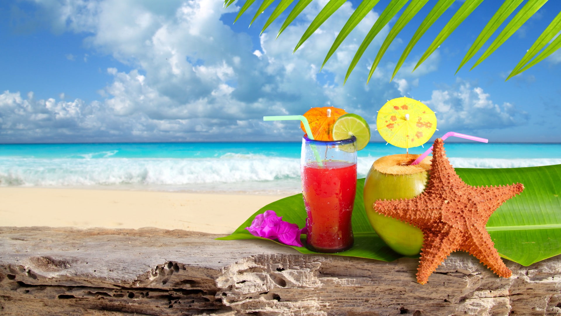 Tropical, sea, starfish, beach, lemon, sky, summer, leaves, fruit juice drinks, Landscape,, clear drinking glass