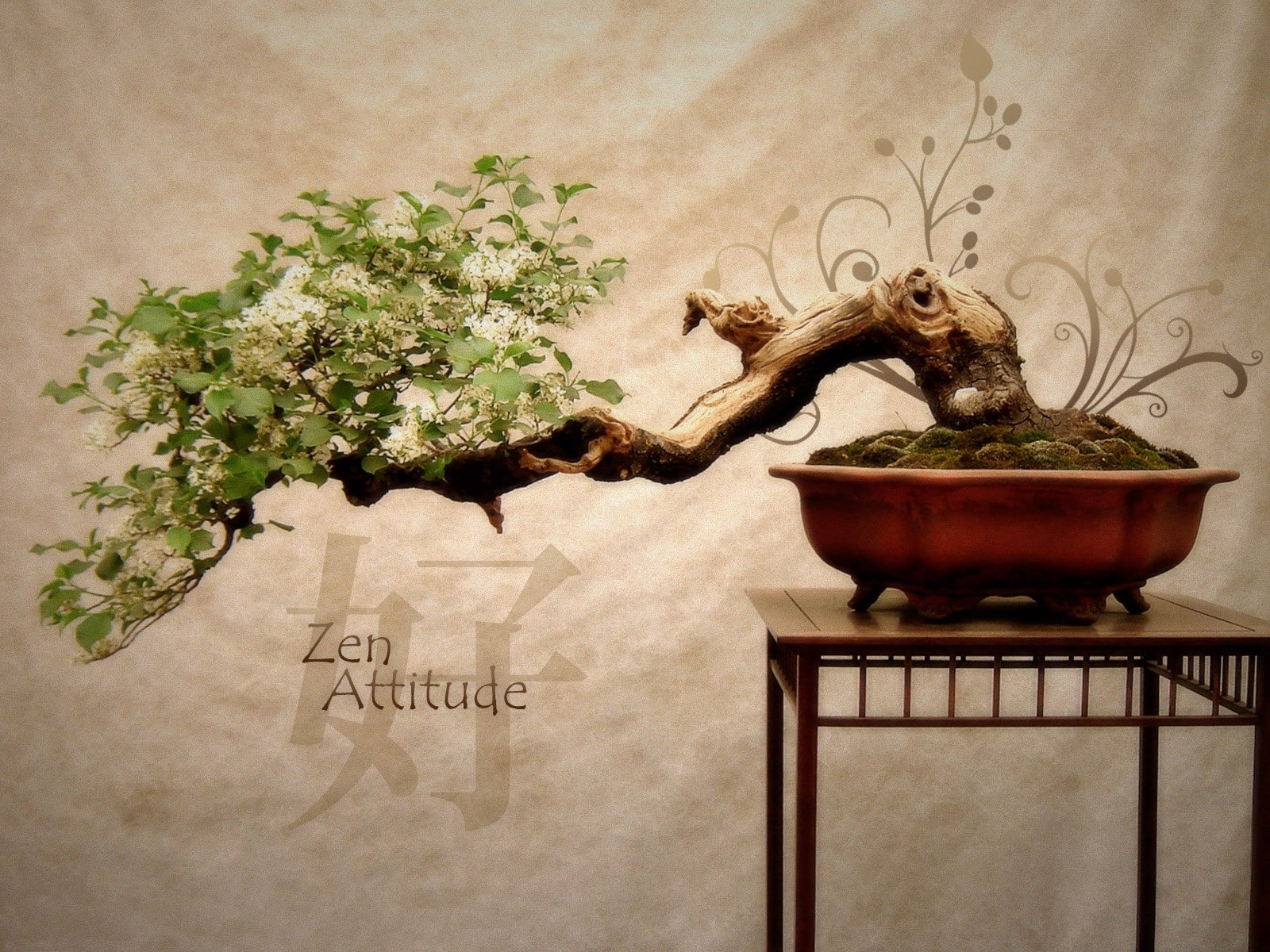plants, zen