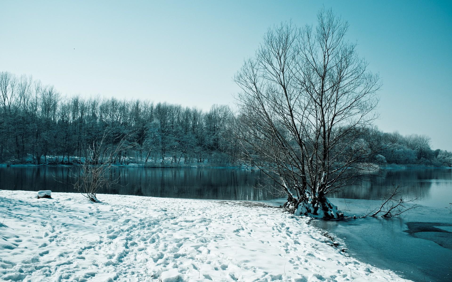 Landscapes Winter Snow Trees High Resolution Pictures, lakes