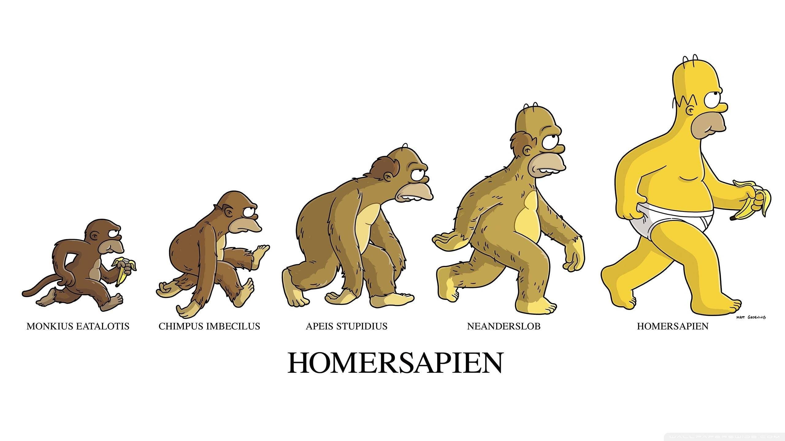 Homer Simpson, The Simpsons, humor, evolution