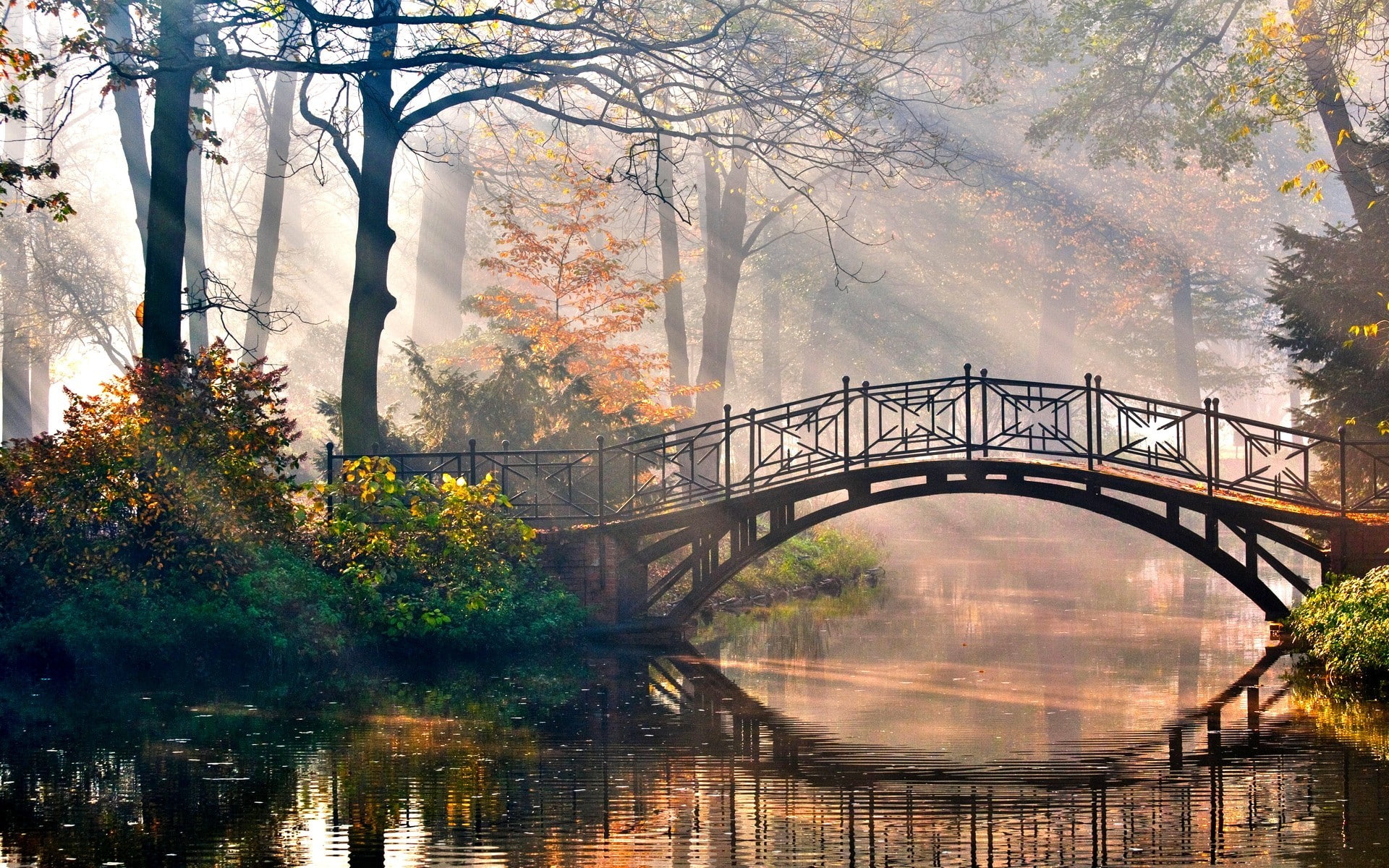 mist, bridge, sunbeams, fall, river, tree, plant, connection