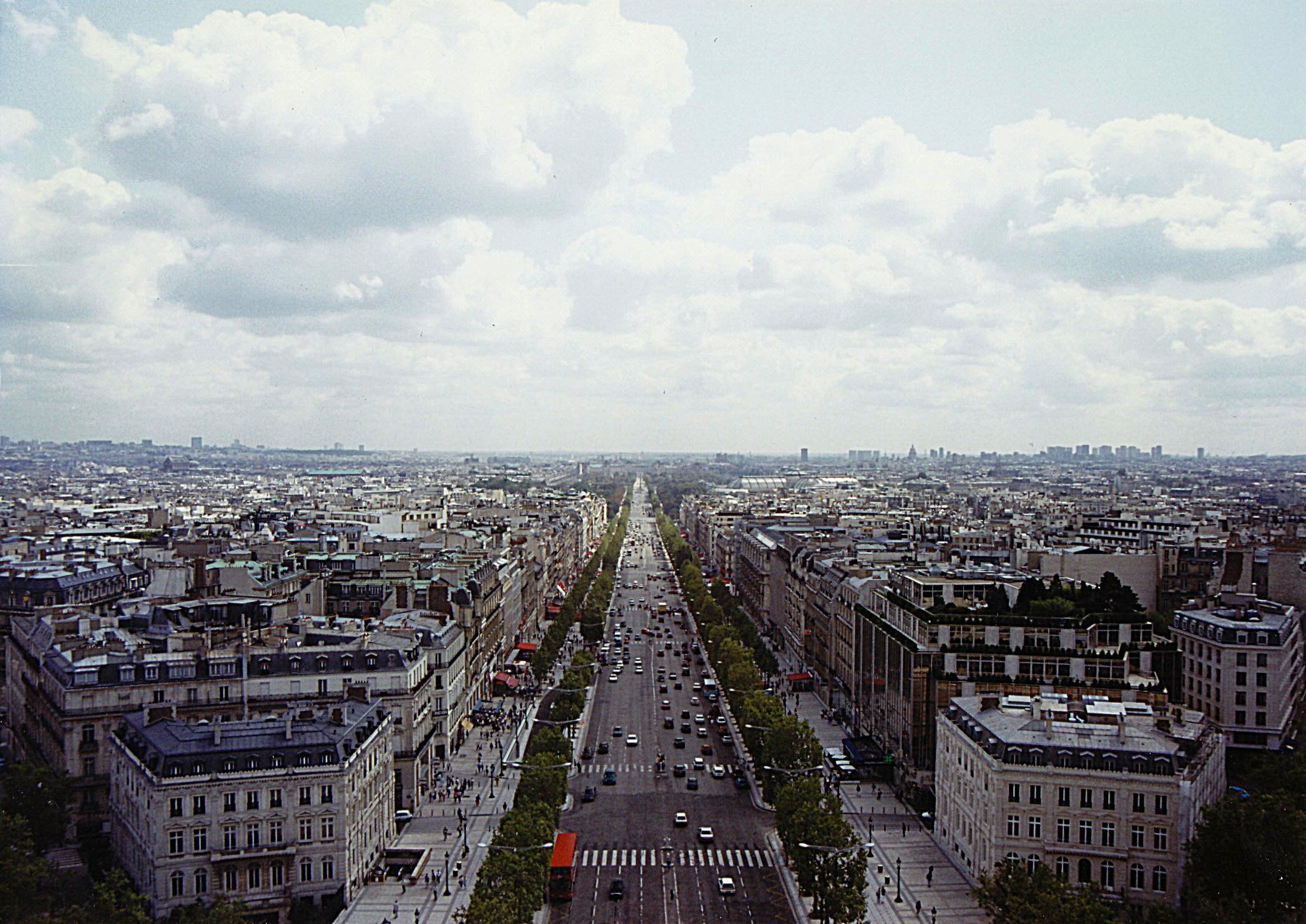 Paris - Champs Elysees, france, europe, animals
