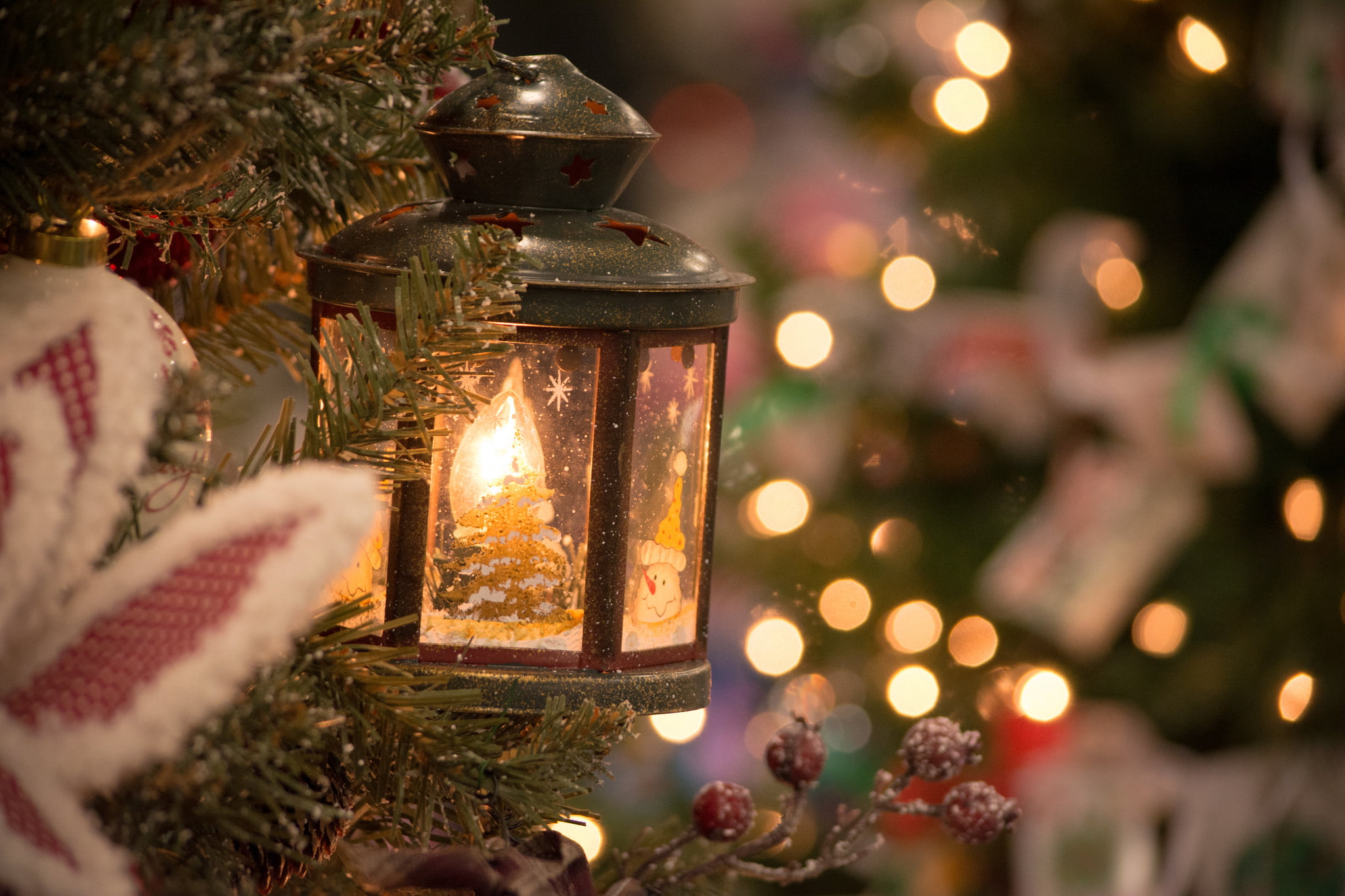 black lantern lamp, decoration, branches, lights, holiday, tree