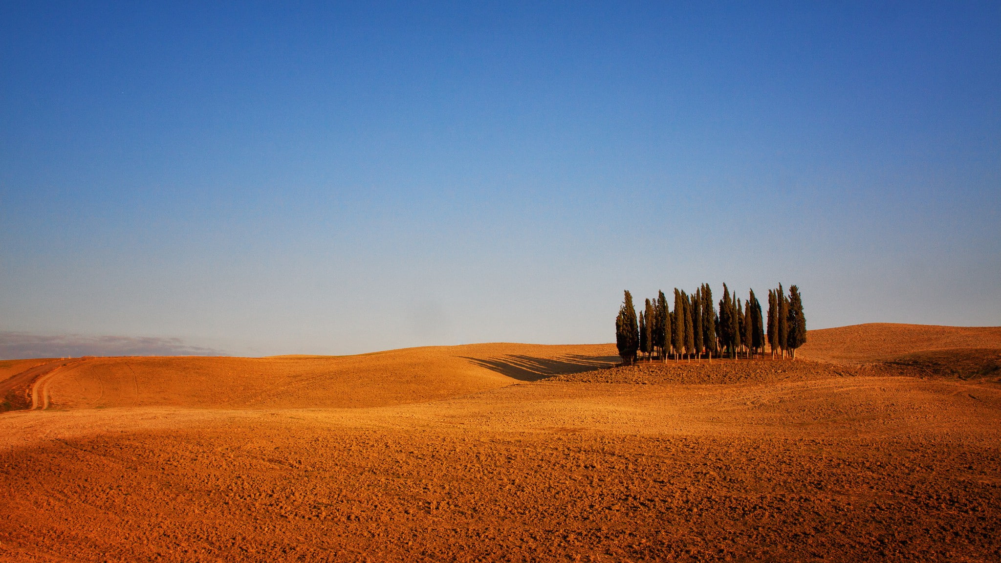 Arable Land, Italy, desert photo, Tuscany, trees