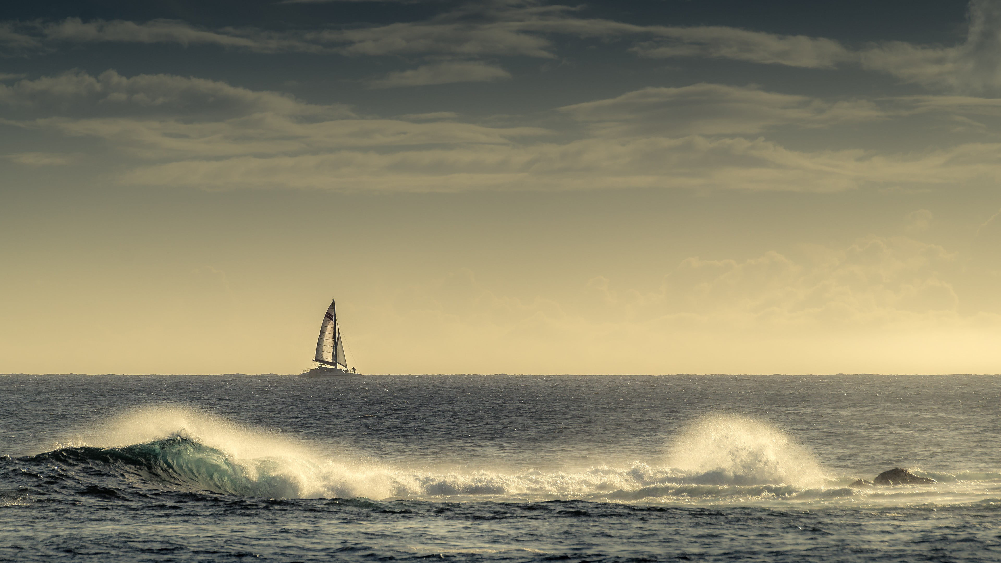 white sail boat, sea, sky, water, horizon, horizon over water