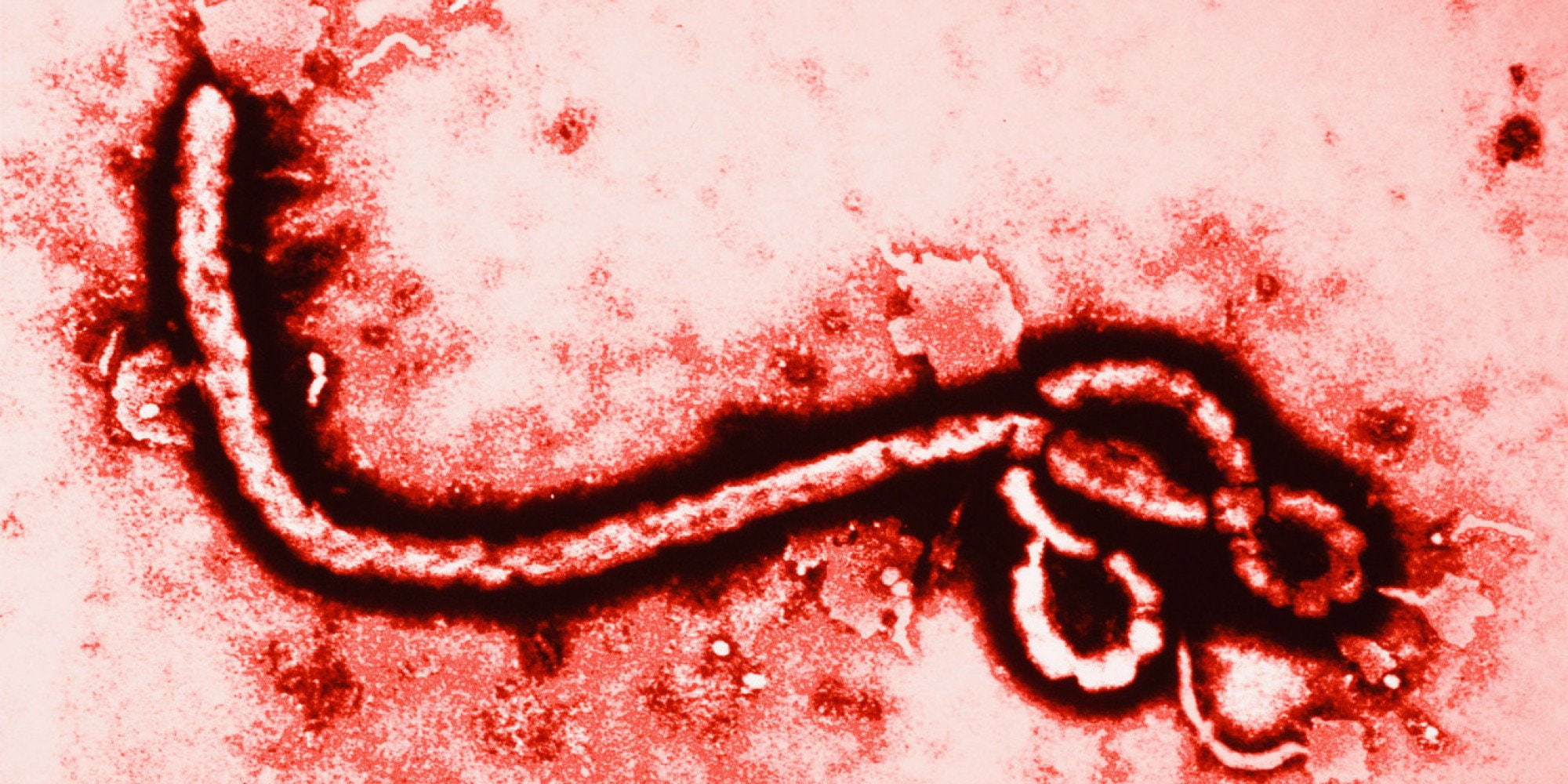 dark, ebola, horror, medical, virus