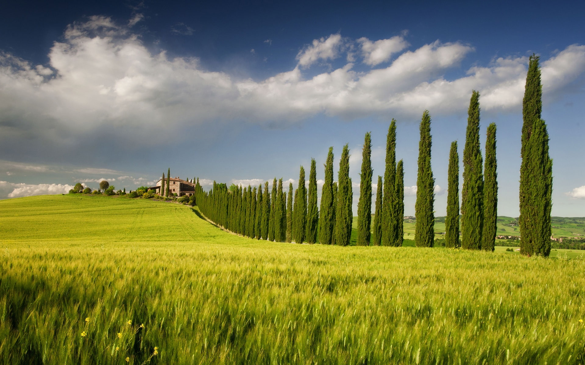 Italy, Campania, spring scenery, fields, tree, house, sky, green