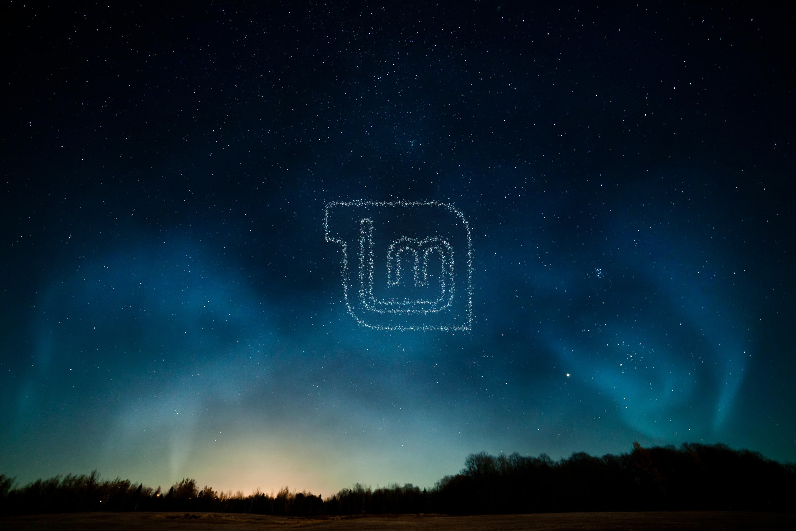 linux gnu linux mint
