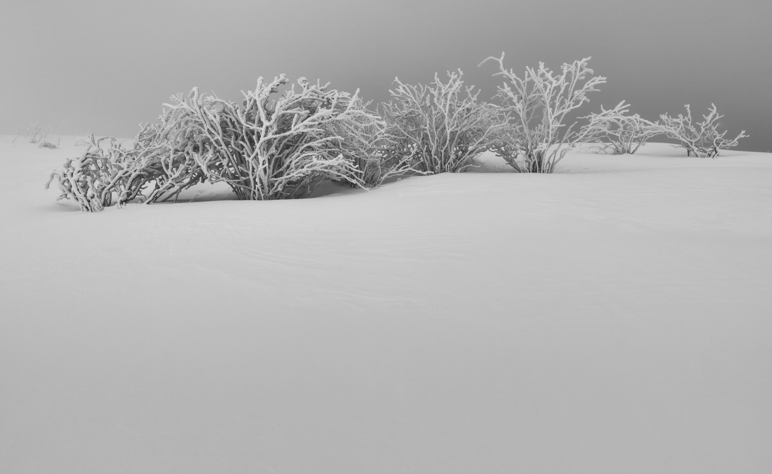 Winter White Snow Aesthetic Black and White, Seasons, Nature