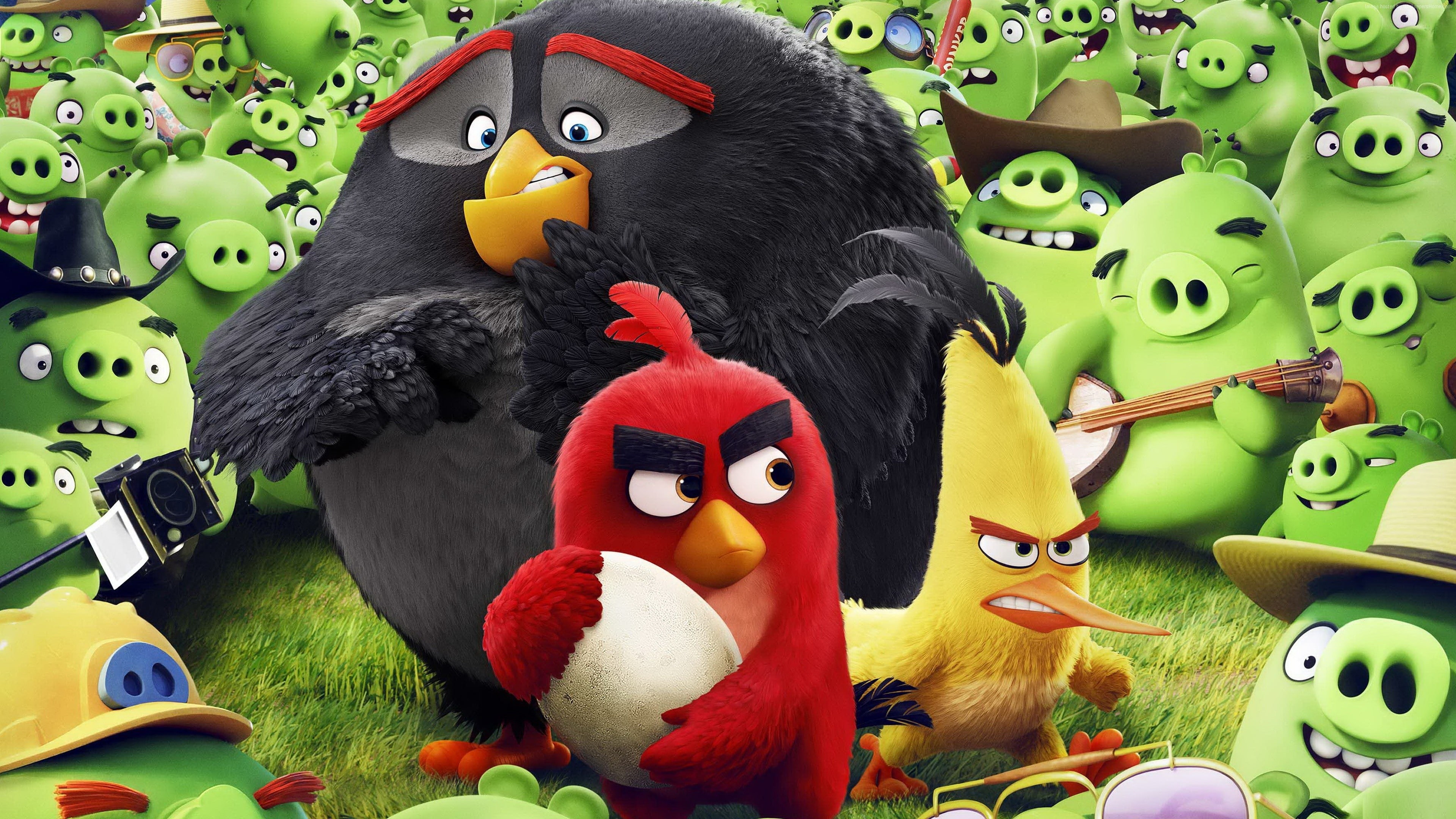 Best Animation Movies of 2016, Angry Birds Movie, red, chuck