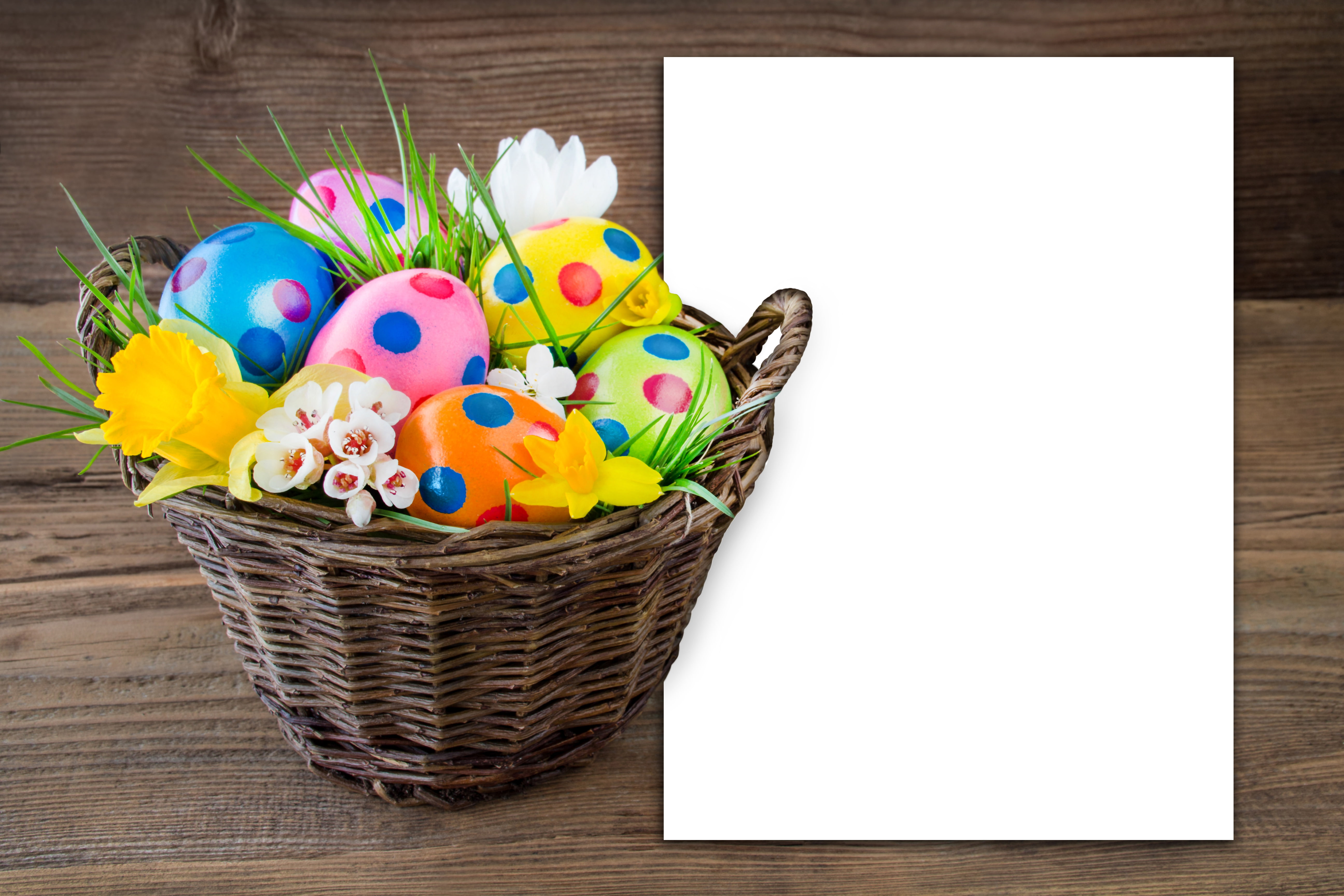 eggs, Easter, Easter eggs, happy easter