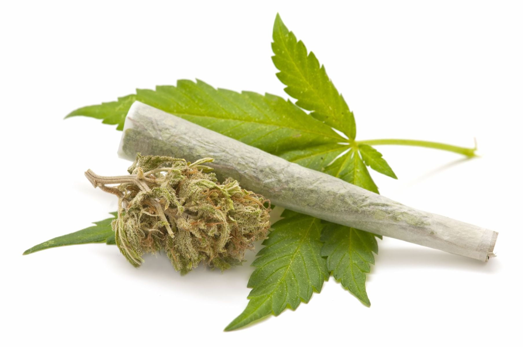 drugs, marijuana, weed, leaf, plant part, white background