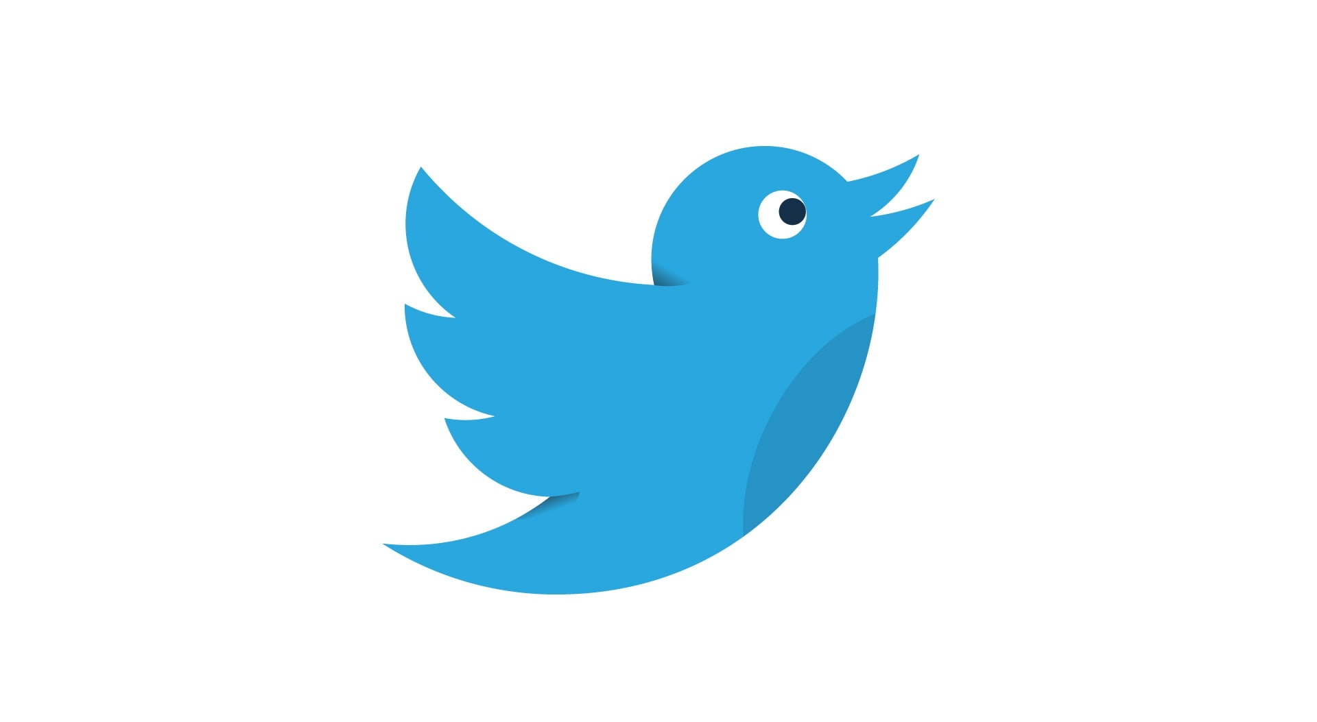 Twitter Bird Social Media, Computers, Web, Vector, cartoon, socialmedia