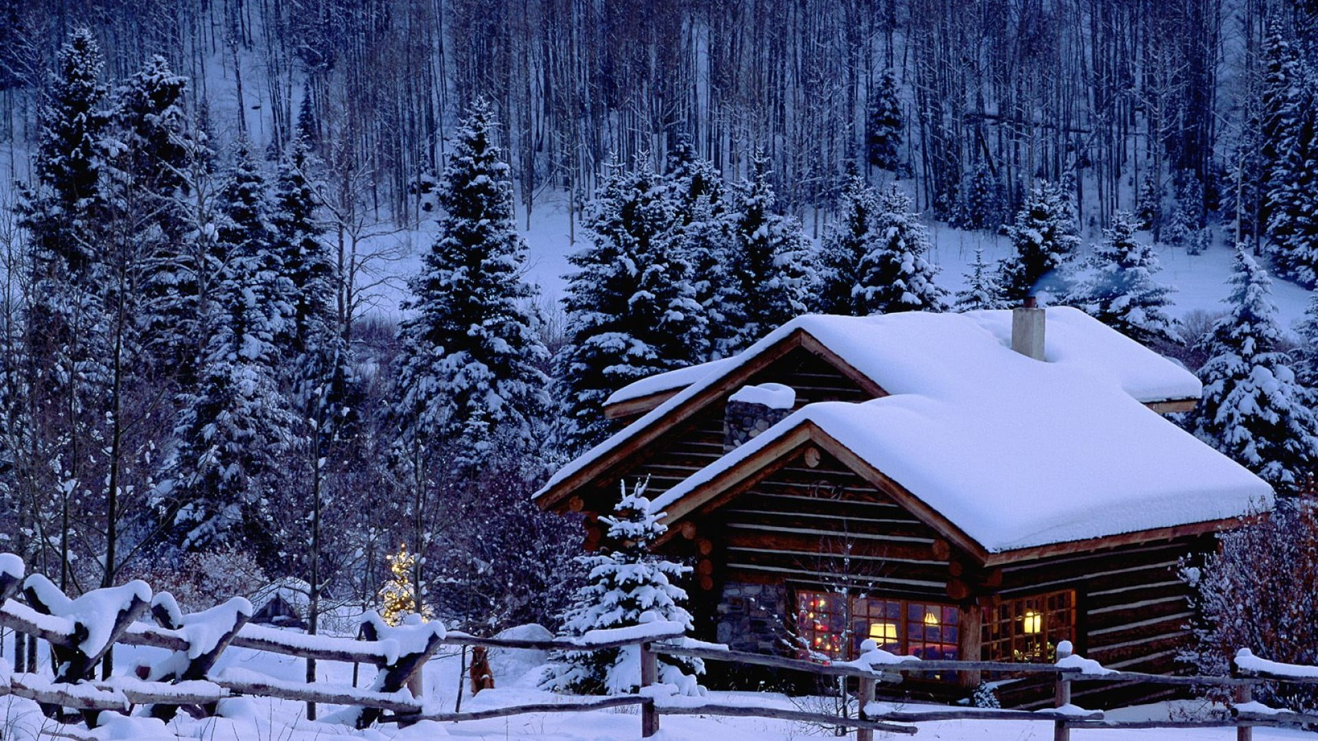 Christmas, snow, pine trees, cabin, winter, cold temperature