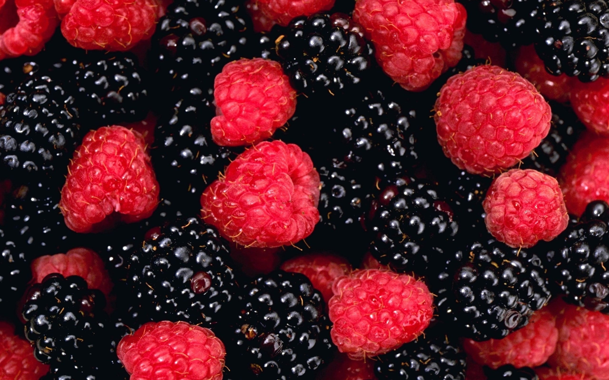 raspberries, food, berry fruit, food and drink, raspberry, blackberry - fruit