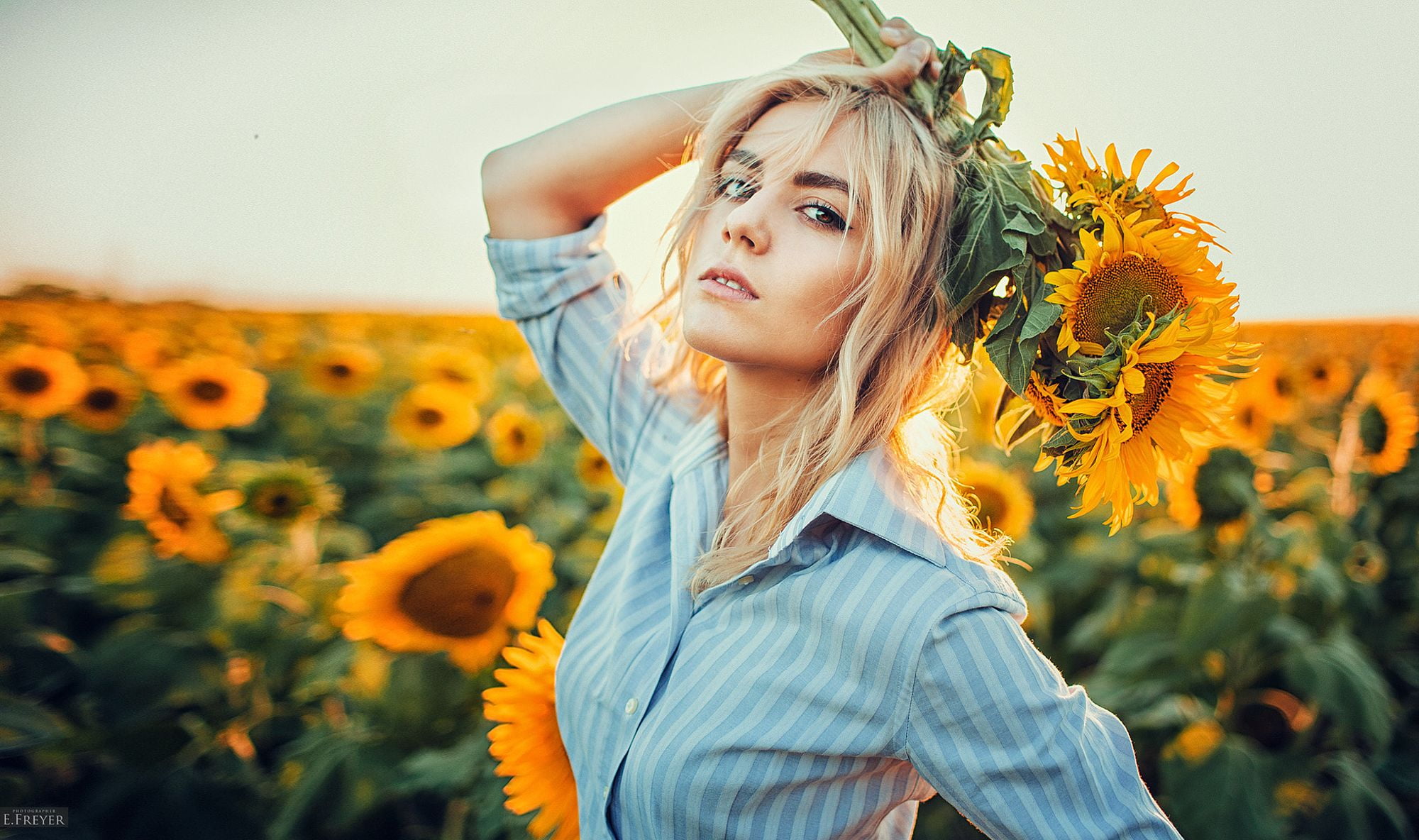 Free Download Hd Wallpaper Evgeny Freyer Women Sunflowers Blonde Long Hair Wavy Hair