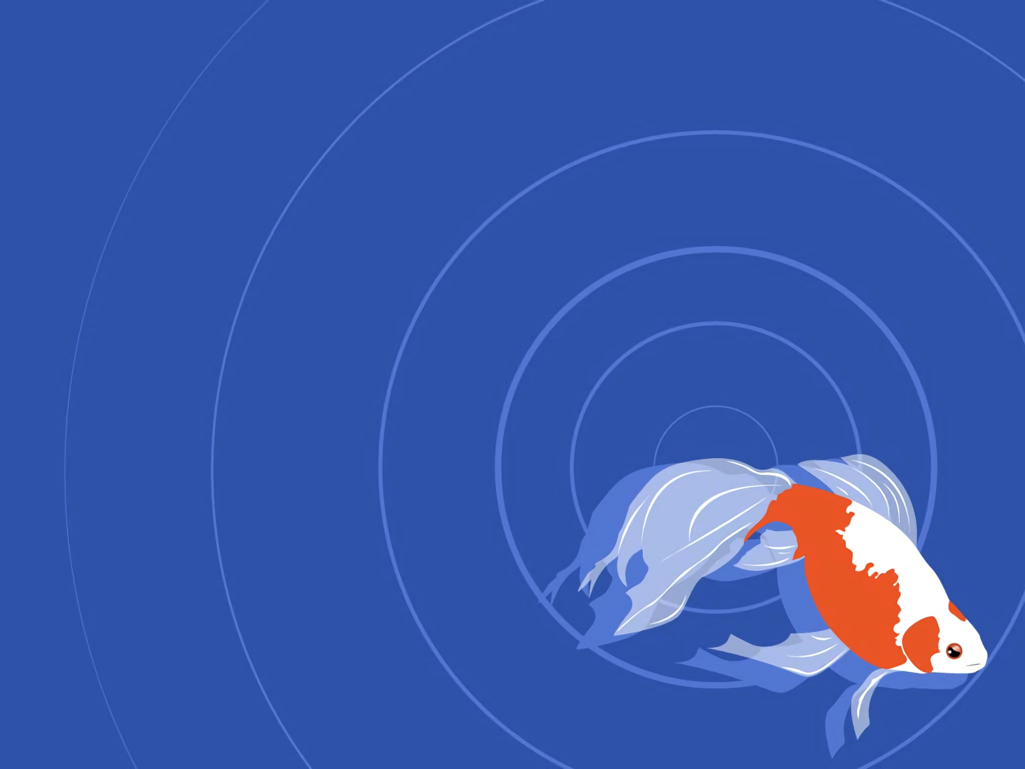 koi