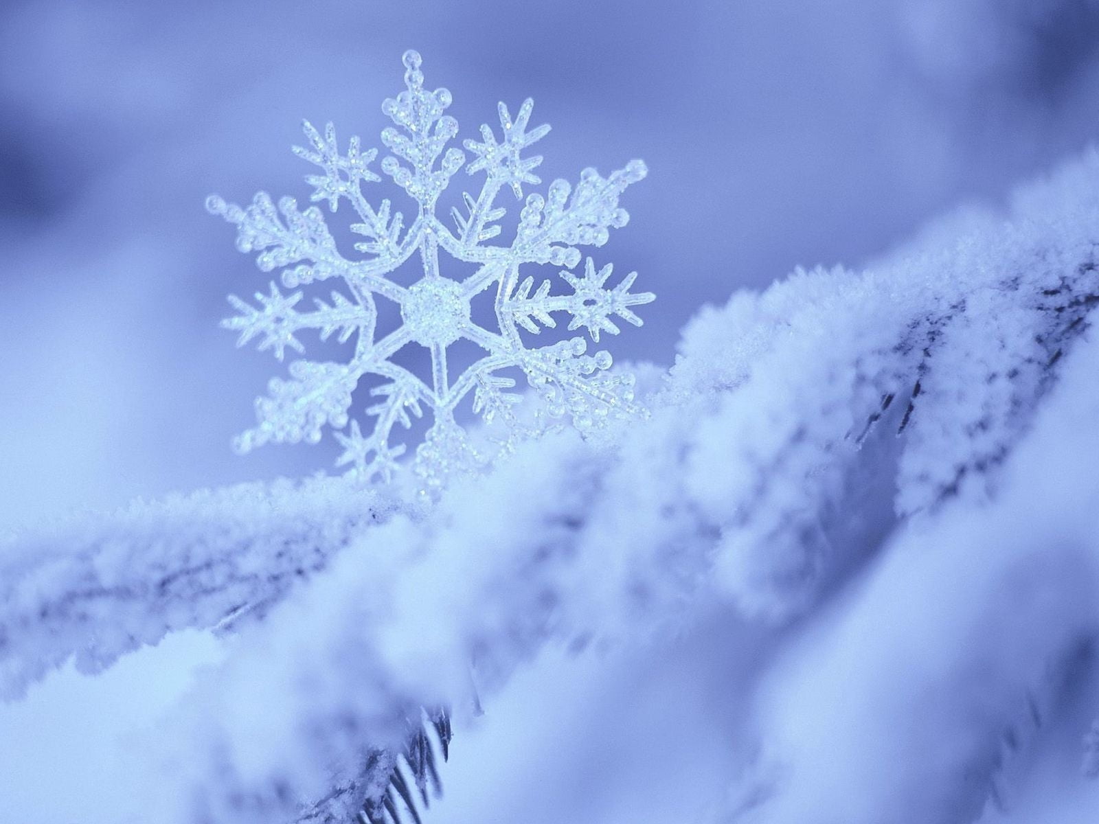 snowflakes illustration, winter, form, pattern, christmas, ice