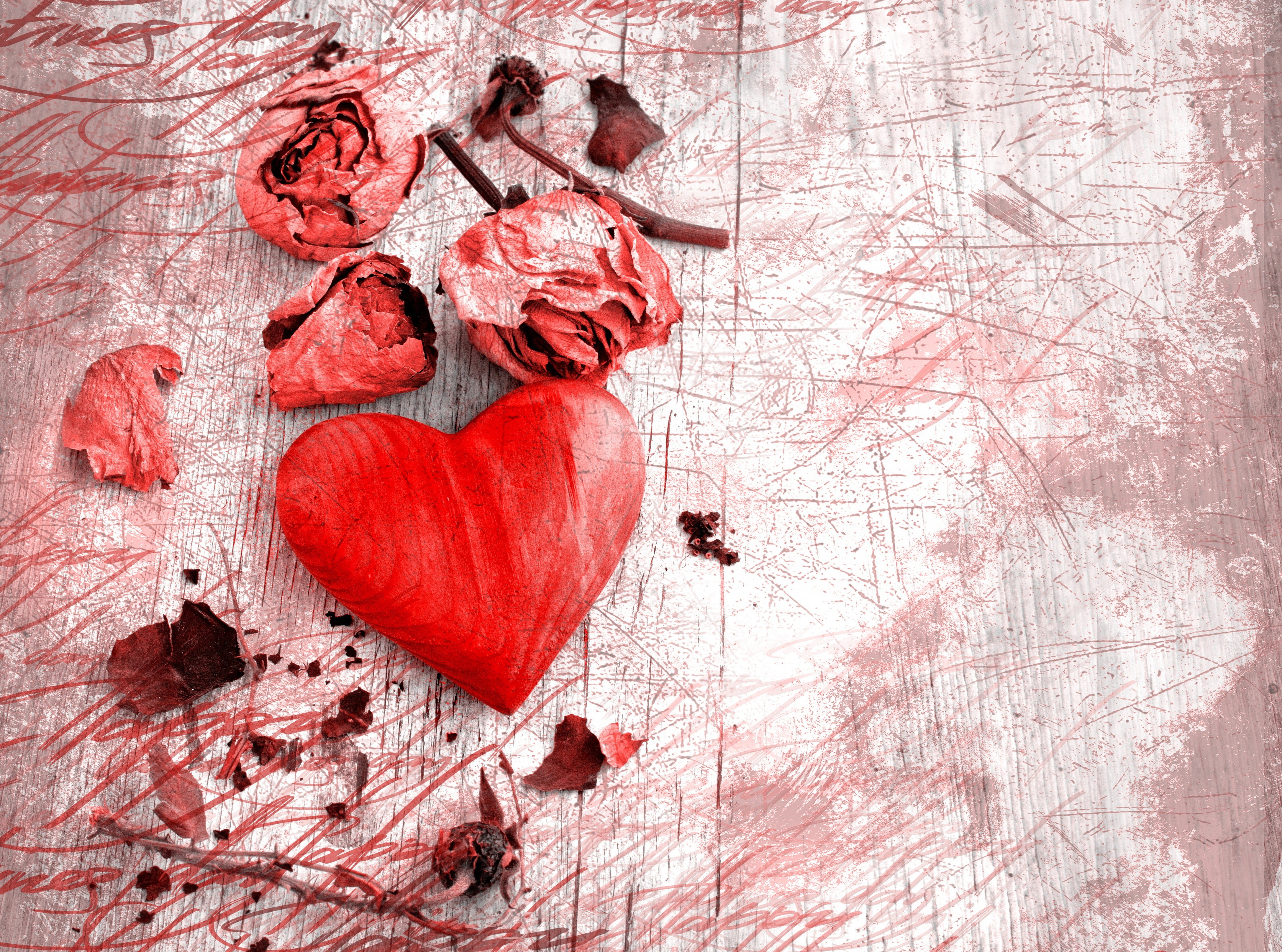 Rose petals, heart