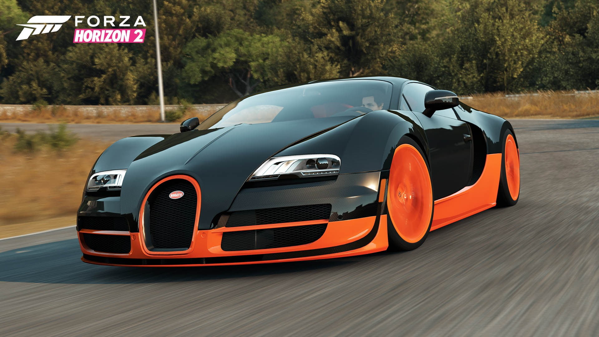Forza Horizon 2 game cover, Bugatti Veyron, video games, car