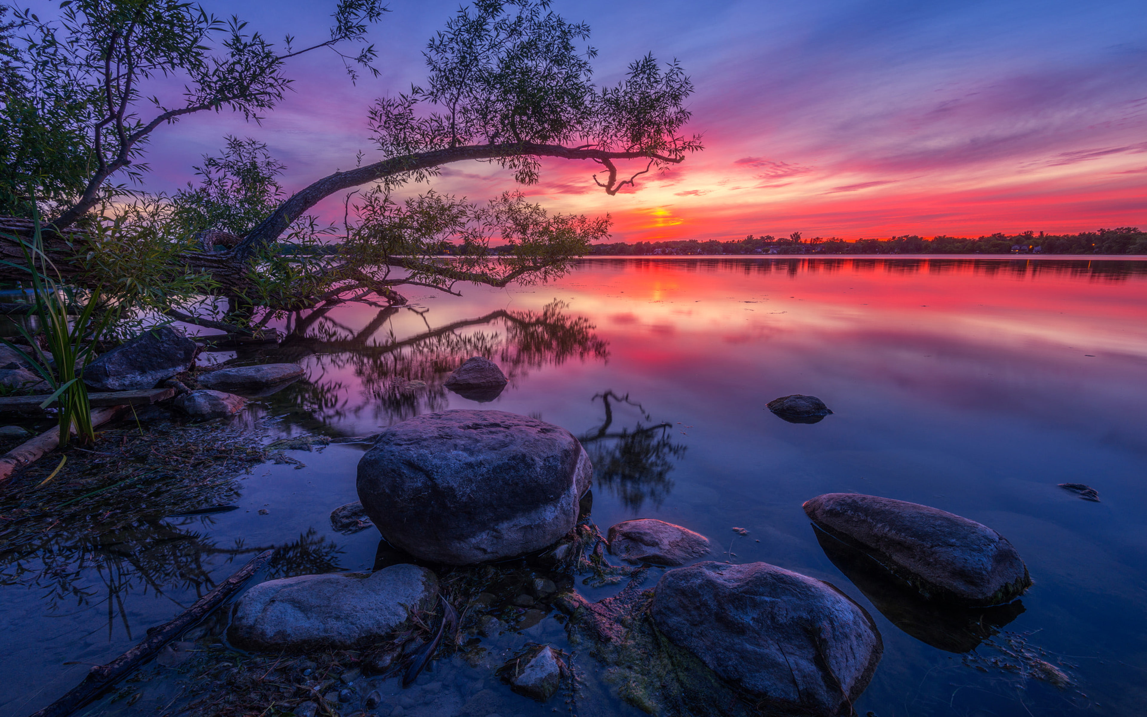 Wilcox Lake Ontario Canada Red Sunset Dusk Wood Willow Stone Reflection In Water Hd Desktop Wallpapers For Computers Tablet And Mobile Phones 3840×2400