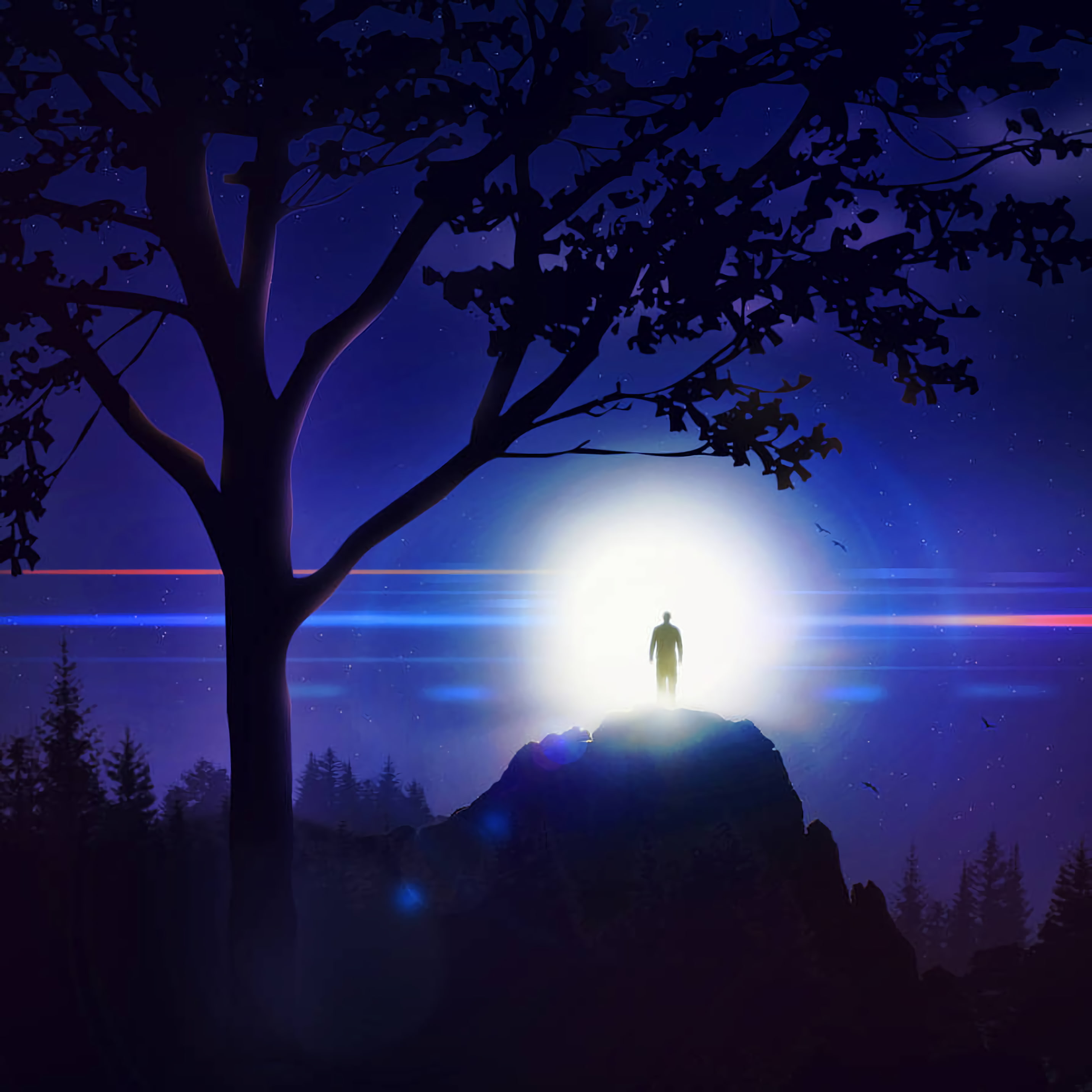 silhouette, tree, hill, light, night, sky