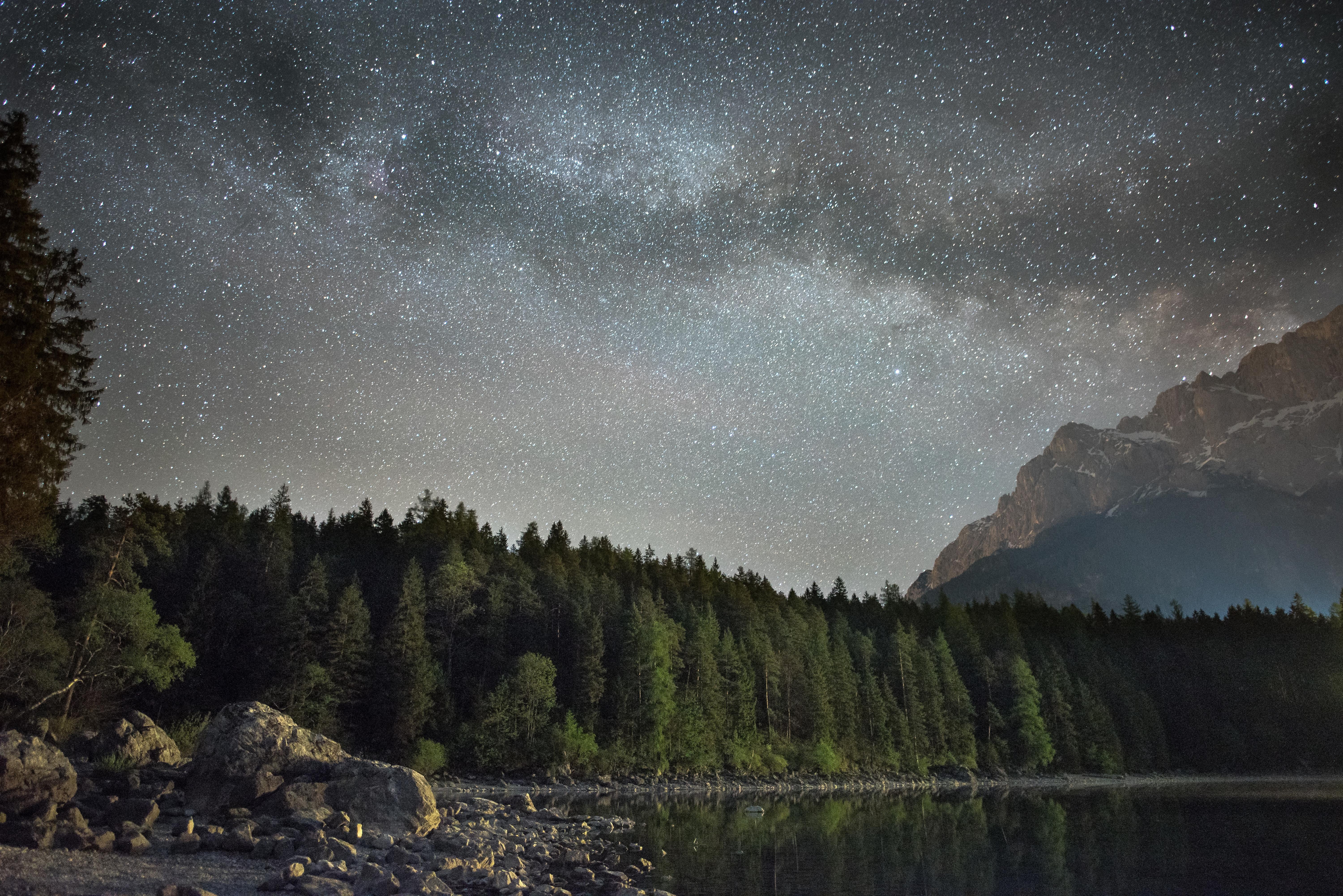 green trees, forest, starry night, lake, mountains, landscape