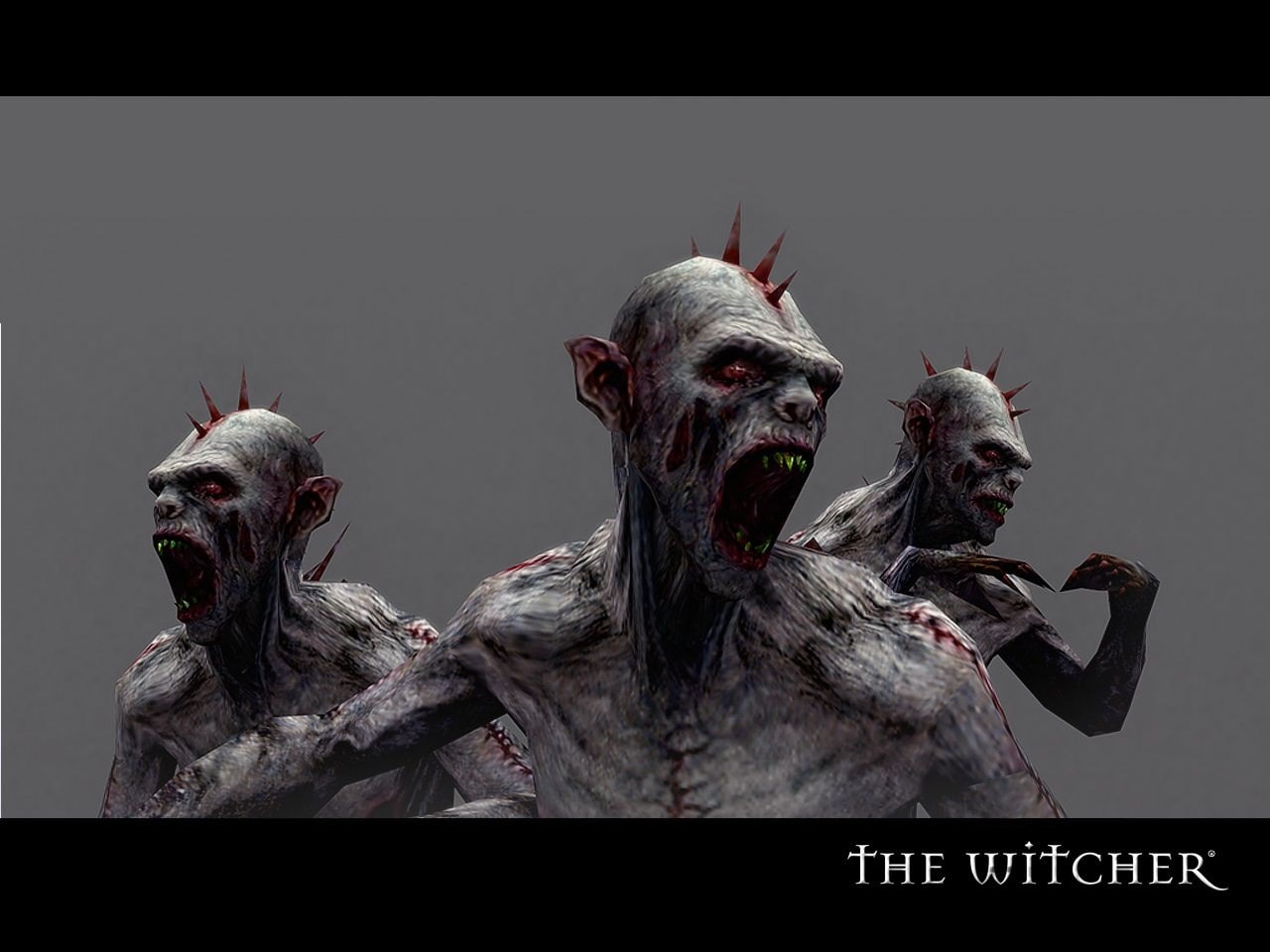 the witcher