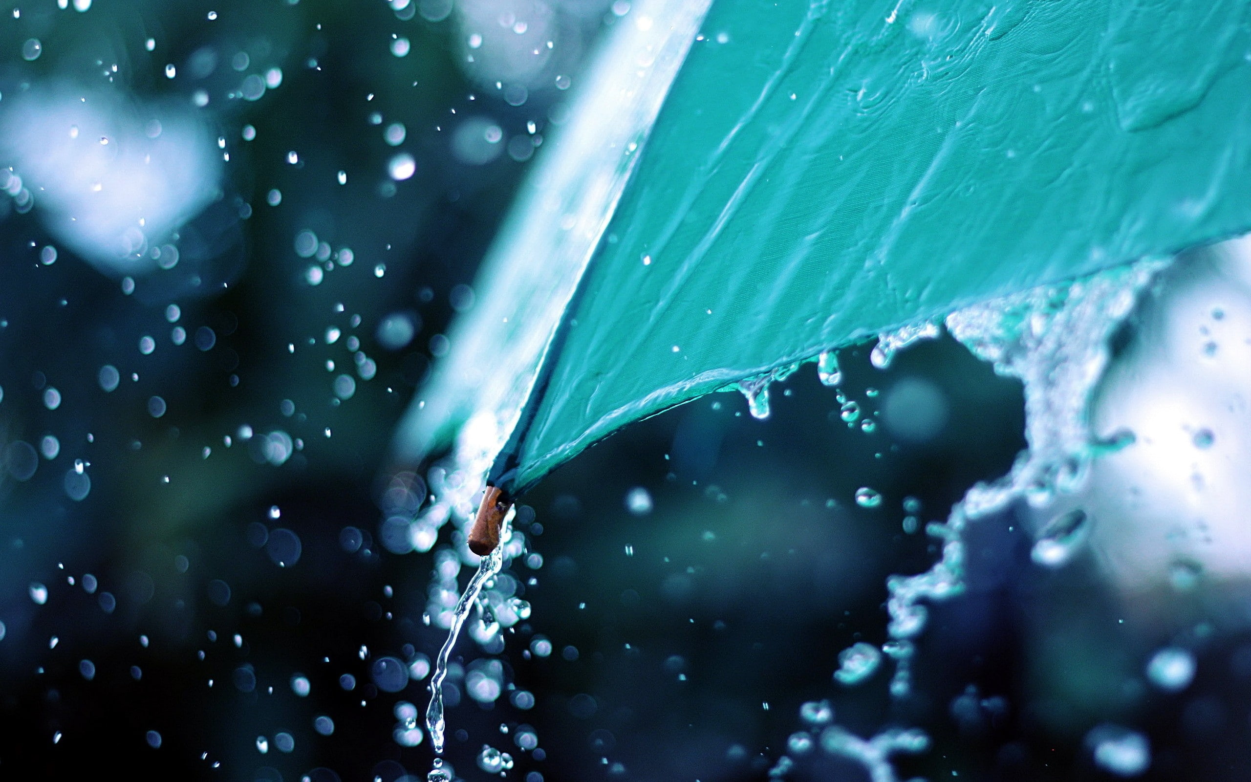 rain weather water drops umbrellas raining 2560x1600  Art Umbrella HD Art