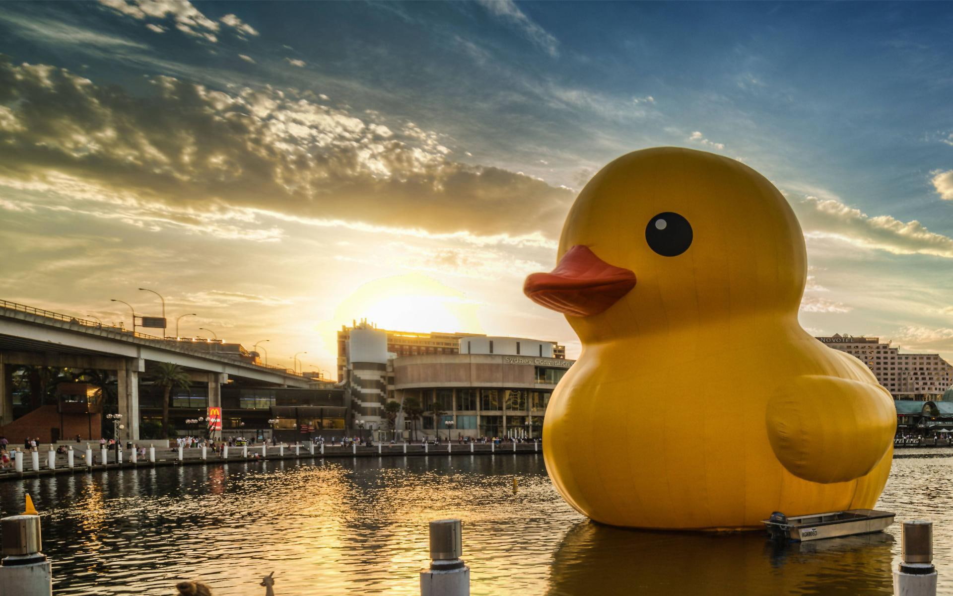 Rubber duck city, yellow inflatable baby duck, funny