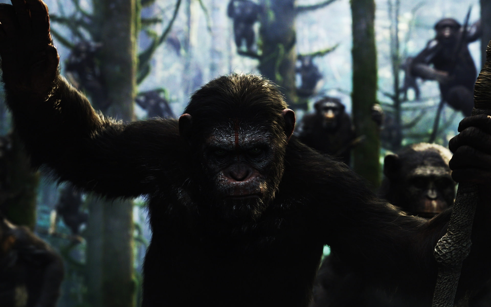 Dawn of the Planet of the Apes Movie, rise of planet apes