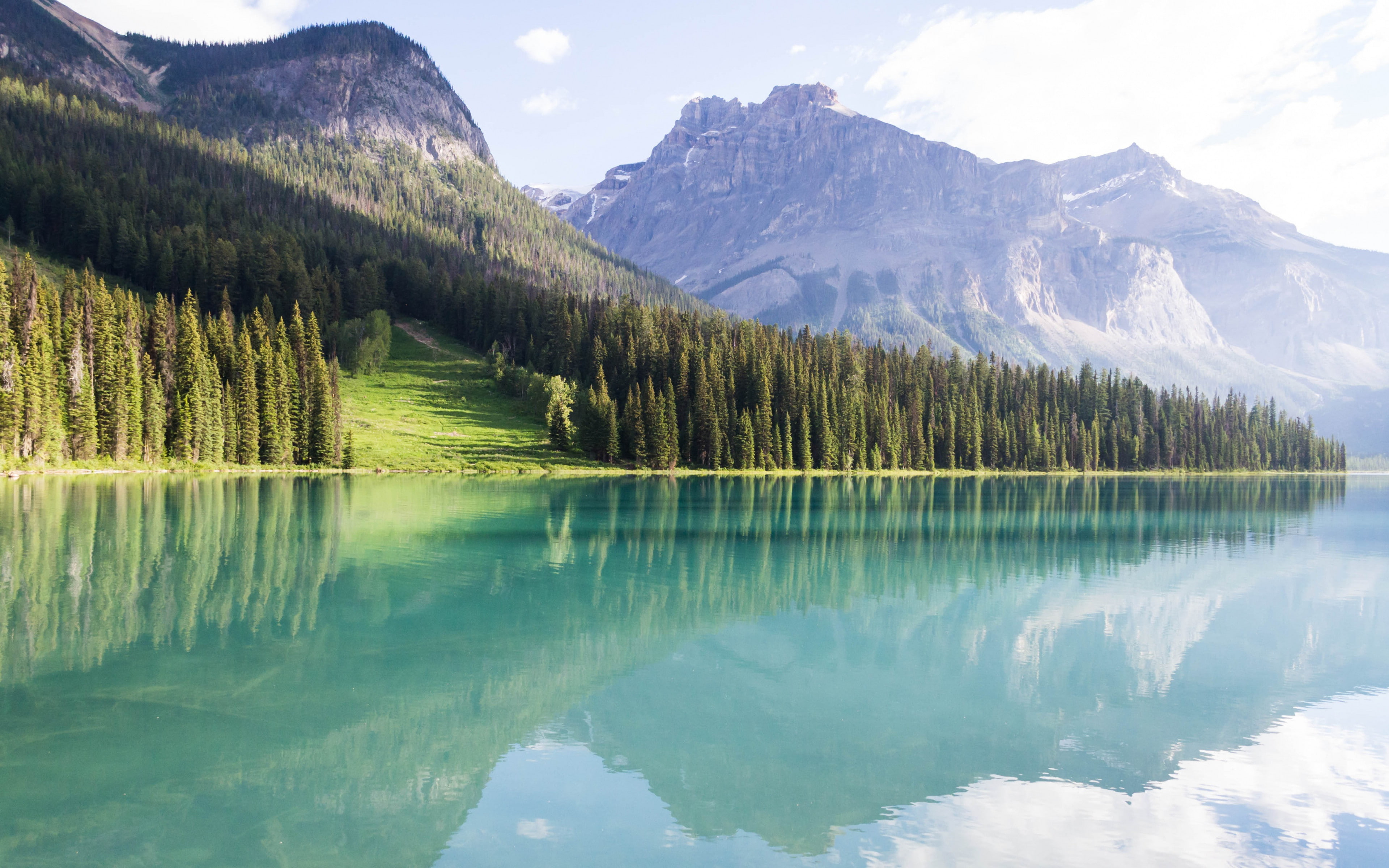 mountains, landscape backgrounds, trees, lake peyto, download 3840x2400 mountains