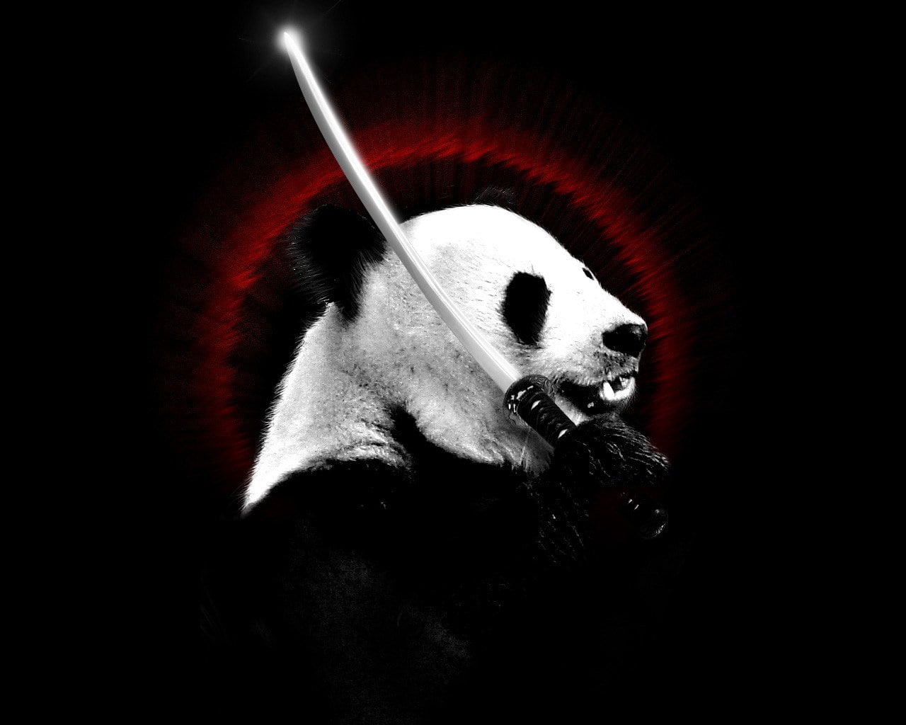 panda