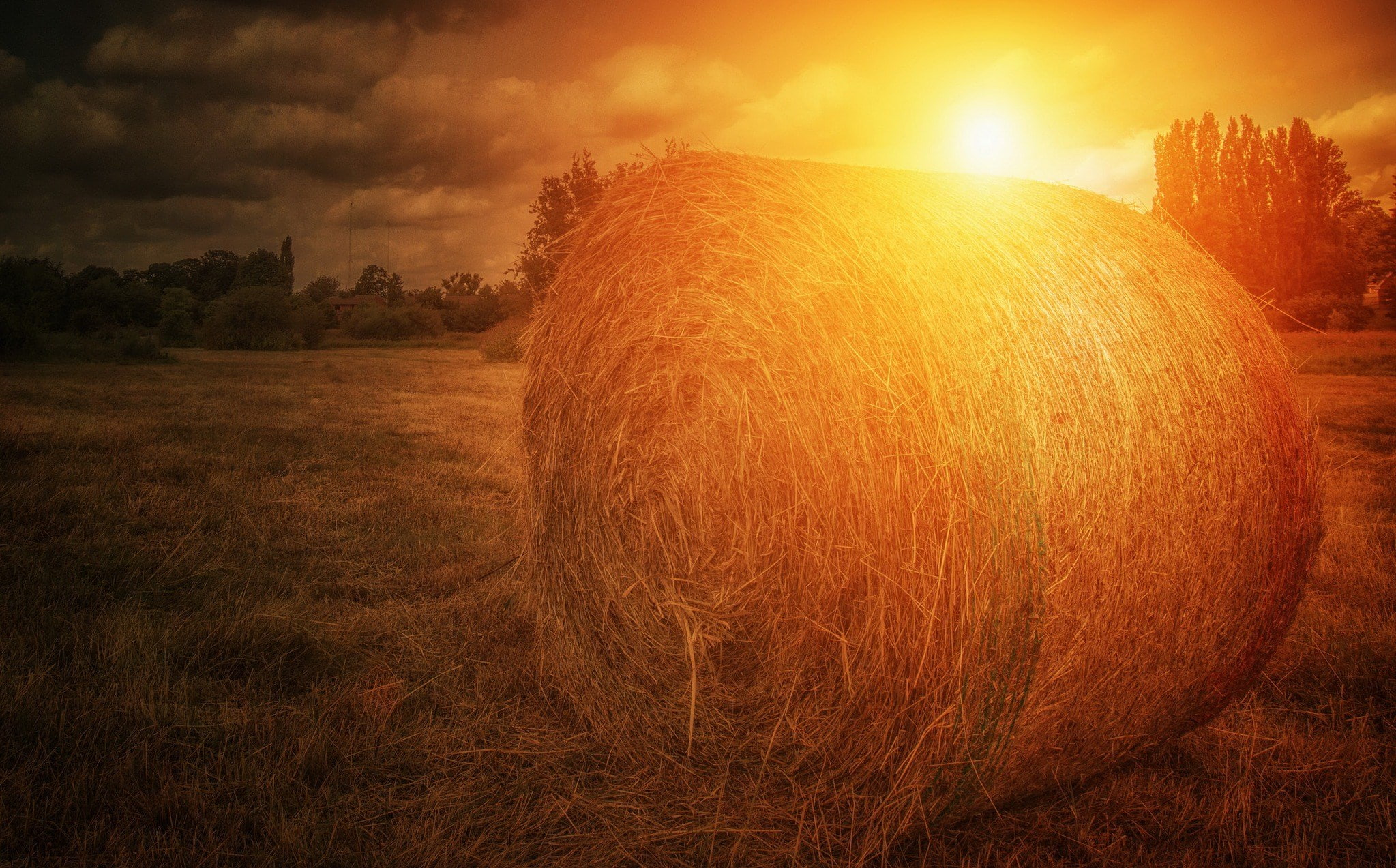 haystack