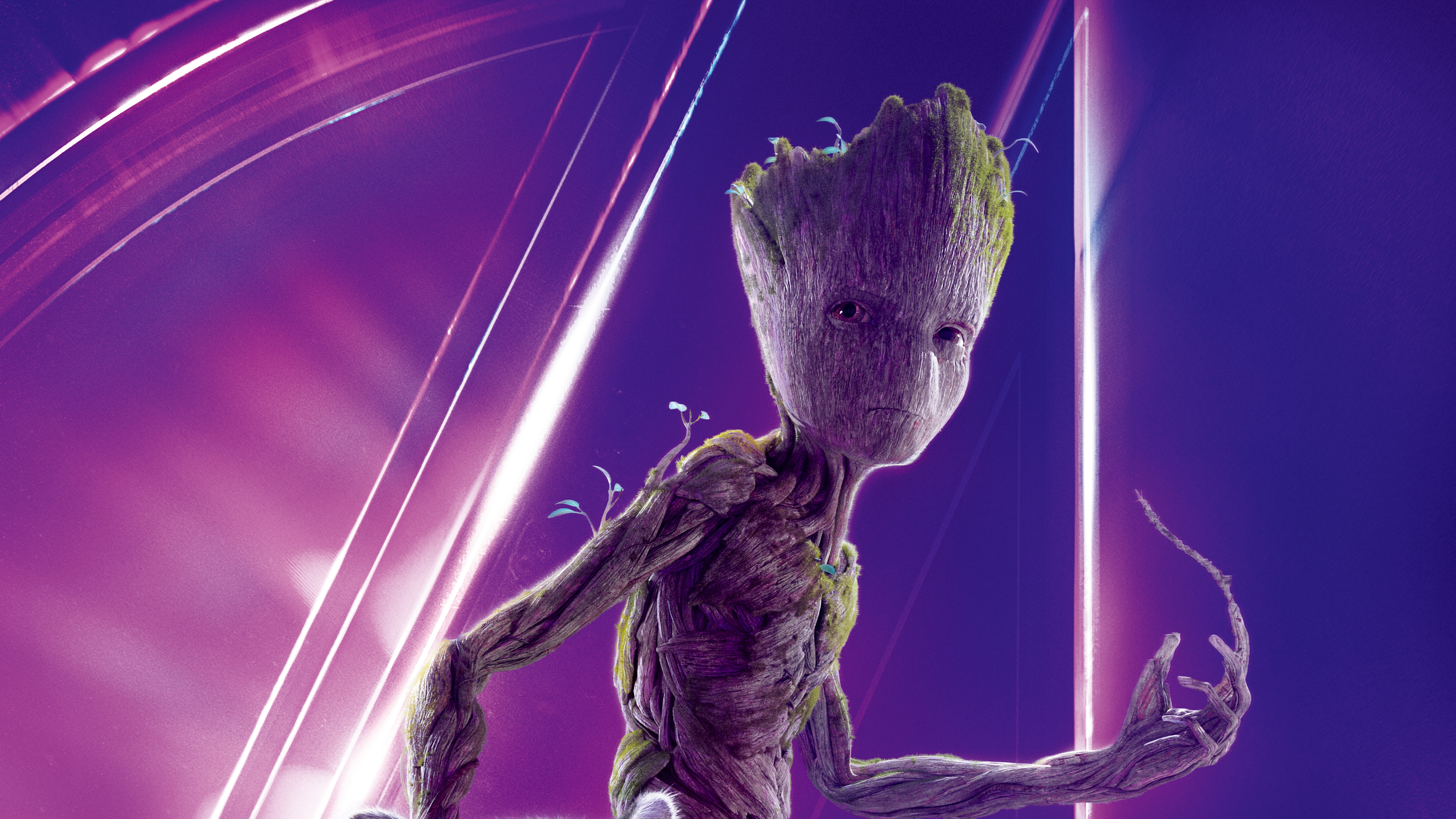 Groot Avengers Infinity War 4K 8K, purple, animal, no people