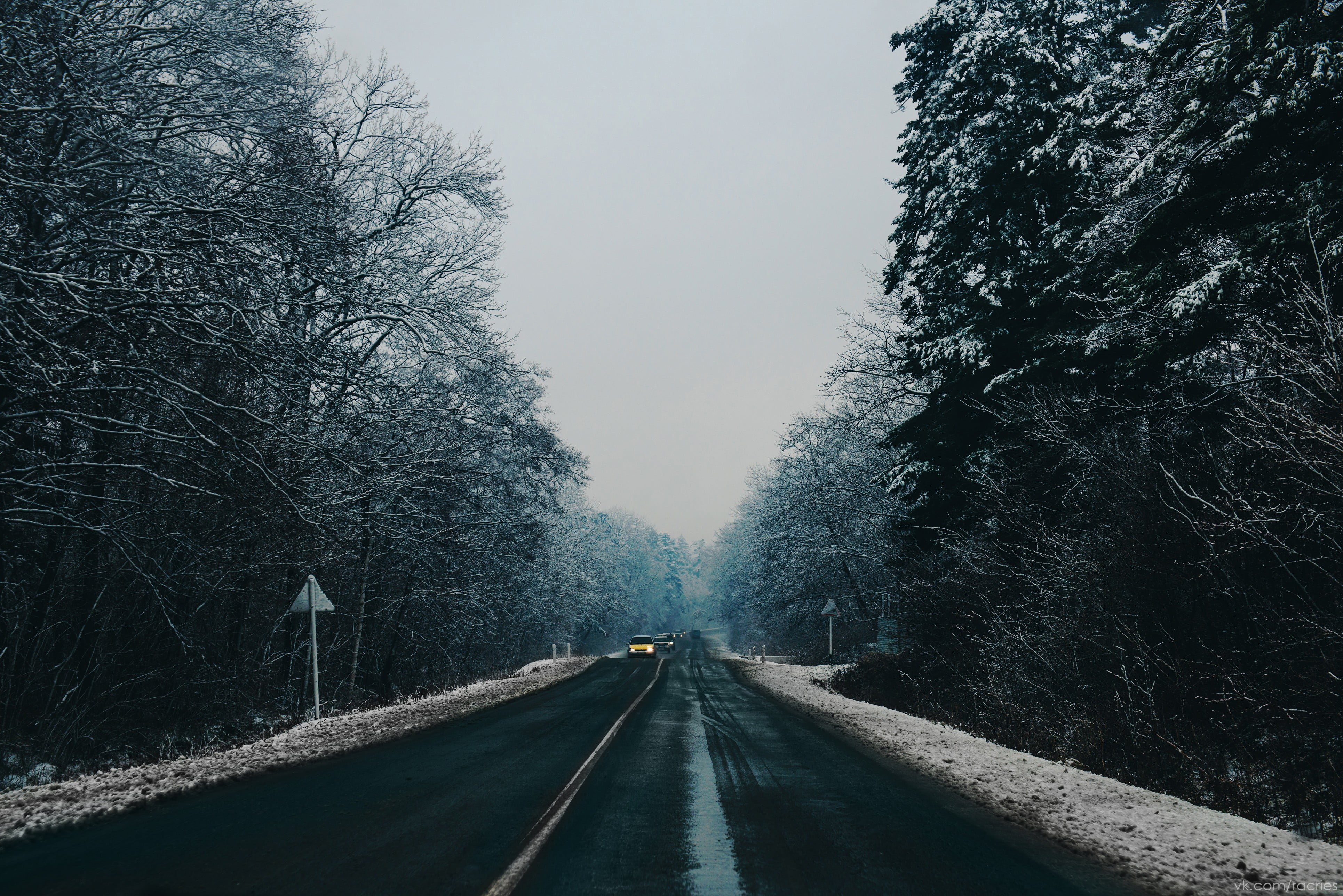 concrete road, nature, winter, trees, snow, landscape, the way forward
