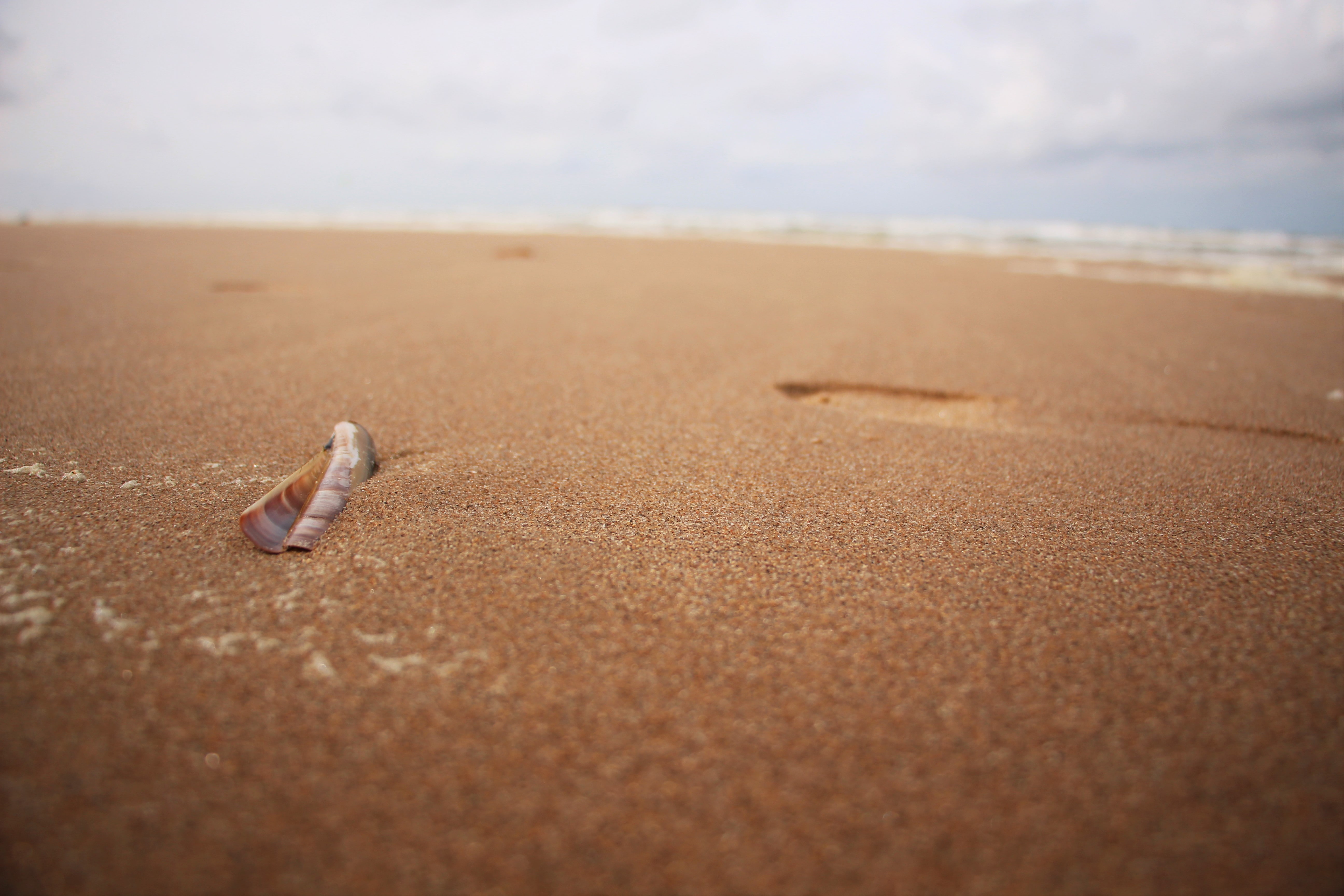 beach, Dutch, North Sea, sand, land, water, day, nature, selective focus