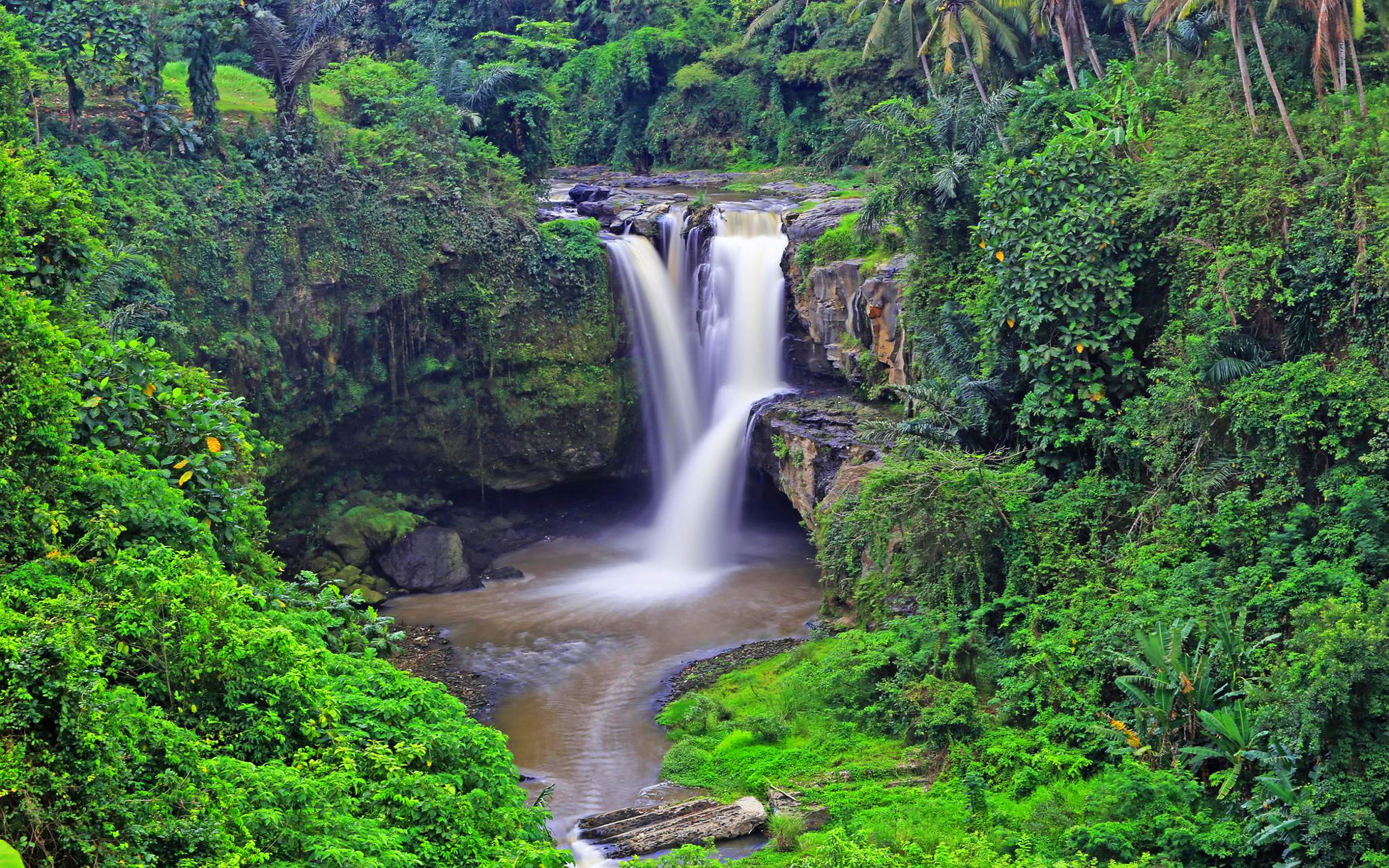 Tropical Waterfall Tegenungan Waterfall Ubud Indonesia Tropical Forest Palms Rock Green Vegetation Hd Wallpaper For Desktop Pc Tablet And Mobile 2560×1600