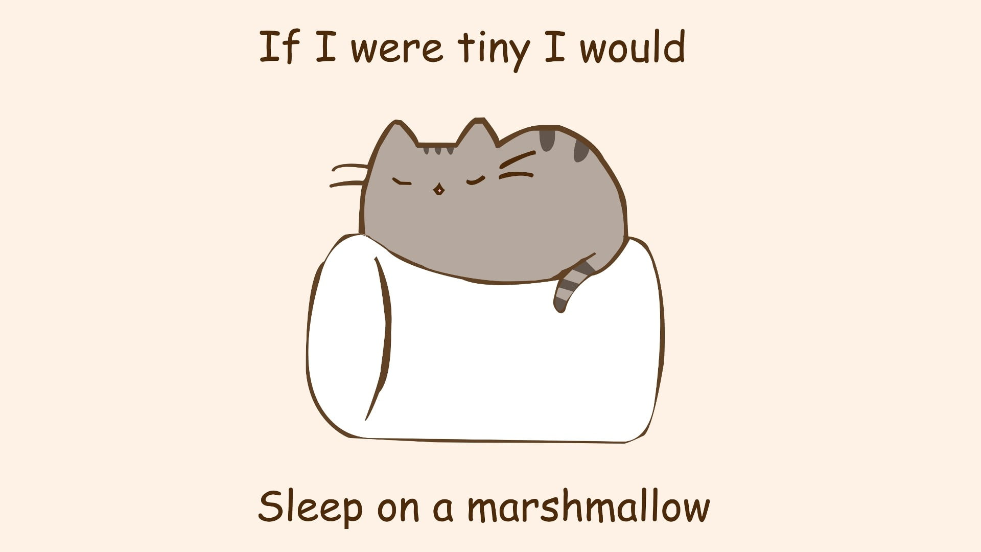 gray cat cartoon, humor, marshmallows, quote, pusheen, artwork