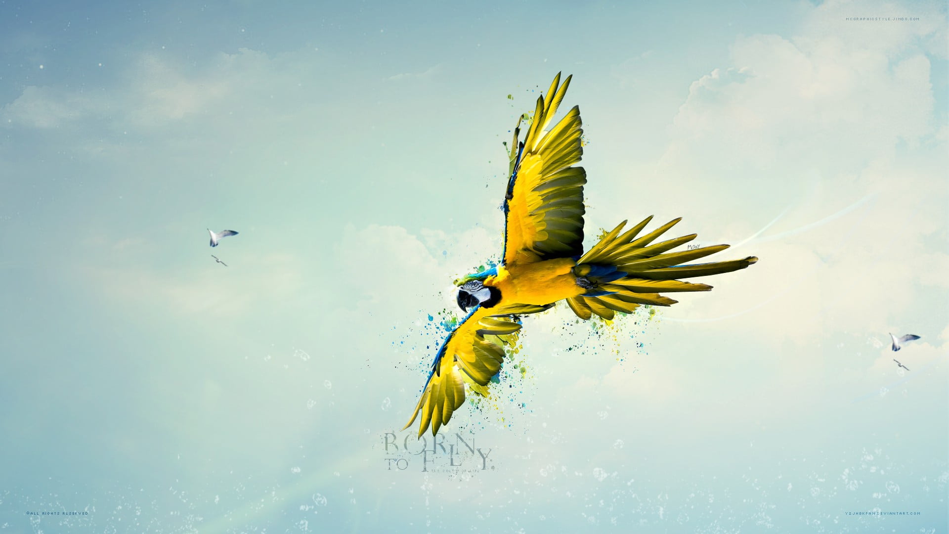 yellow and black macaw, macaws, birds, sky, parrot, flying, paint splatter