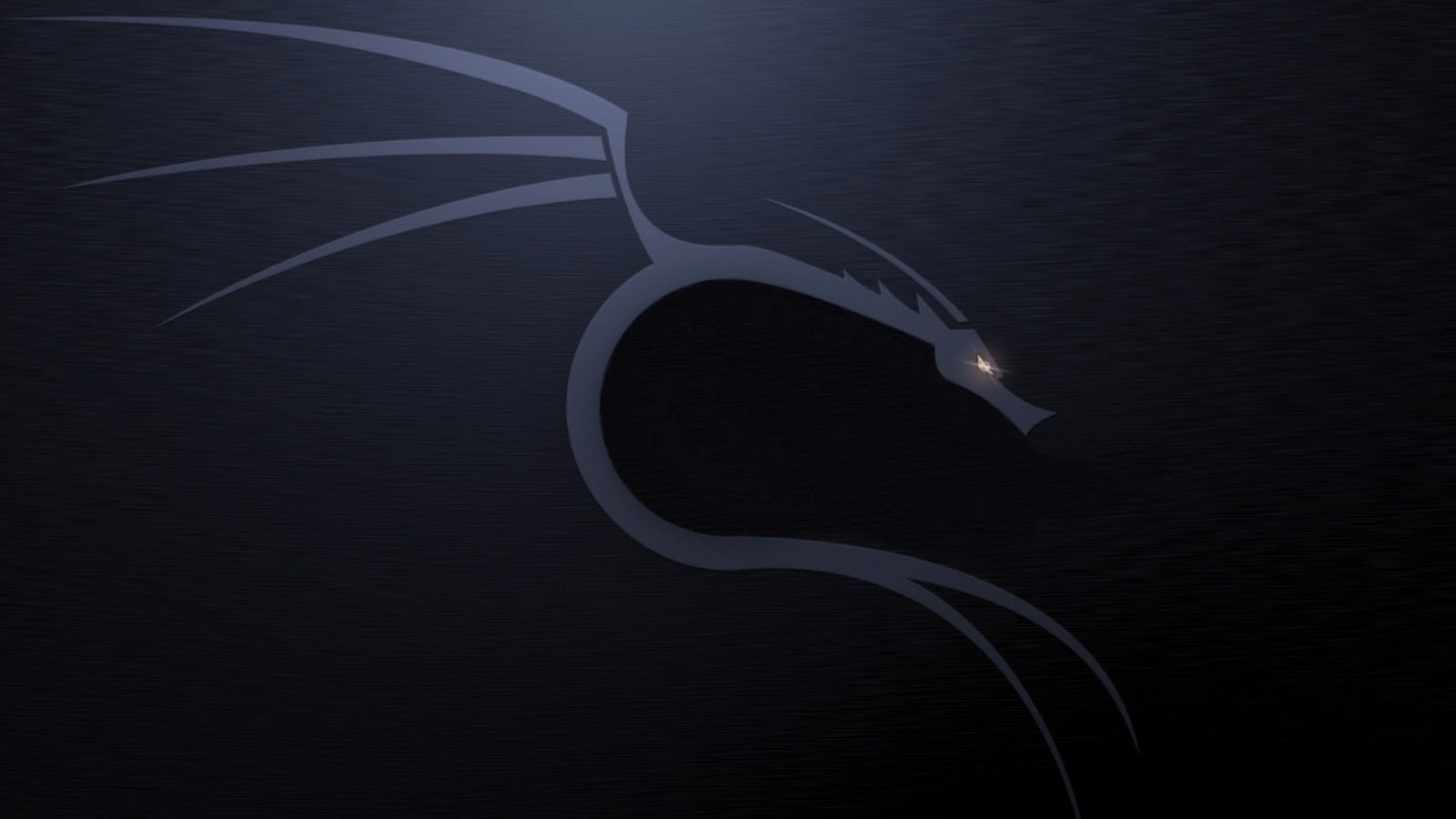 Kali Linux NetHunter