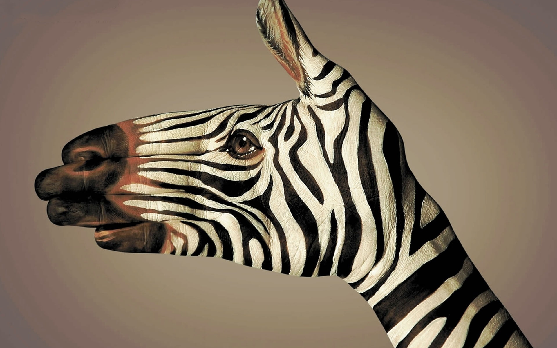 Body Art, hands, zebras, simple background, striped, animal