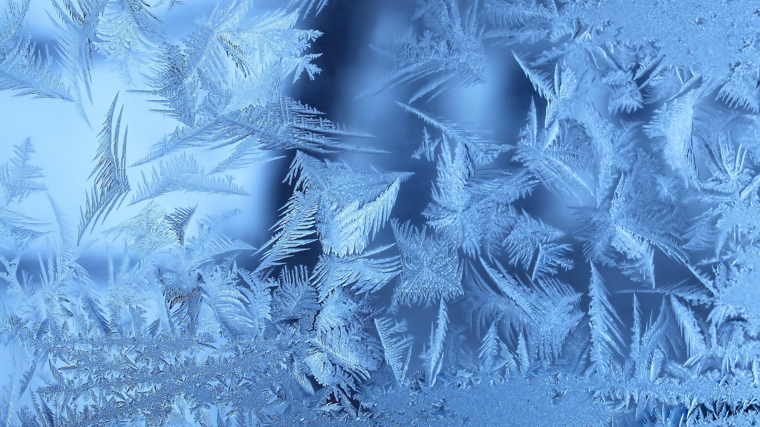 picture of frosted glass for desktop, cold temperature, winter