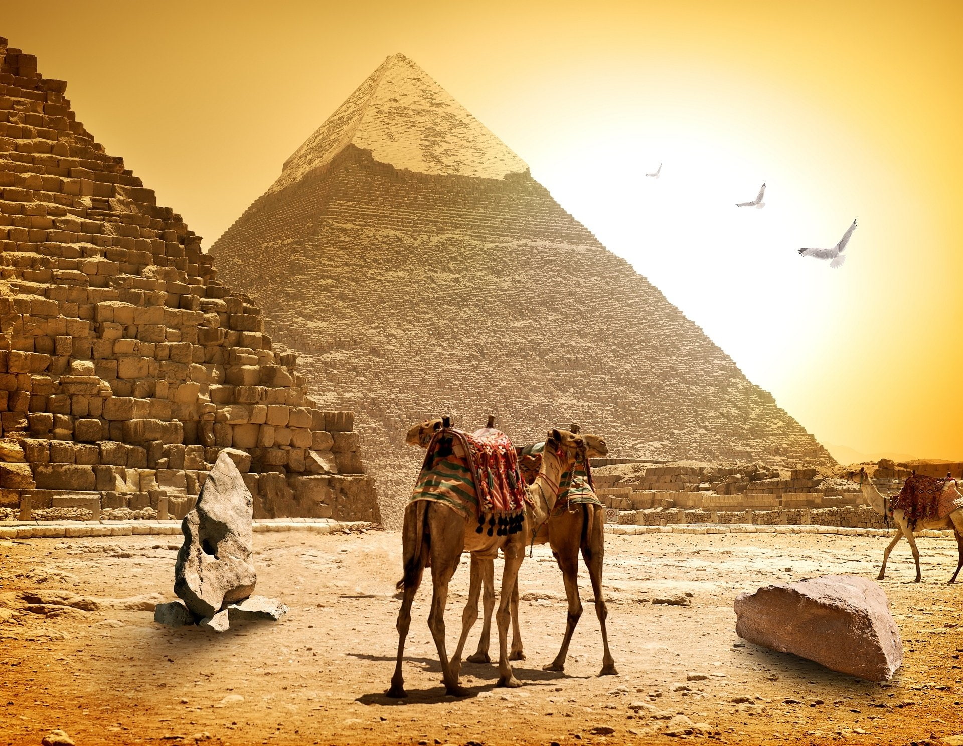 Man Made, Pyramid, Camel, Egyptian
