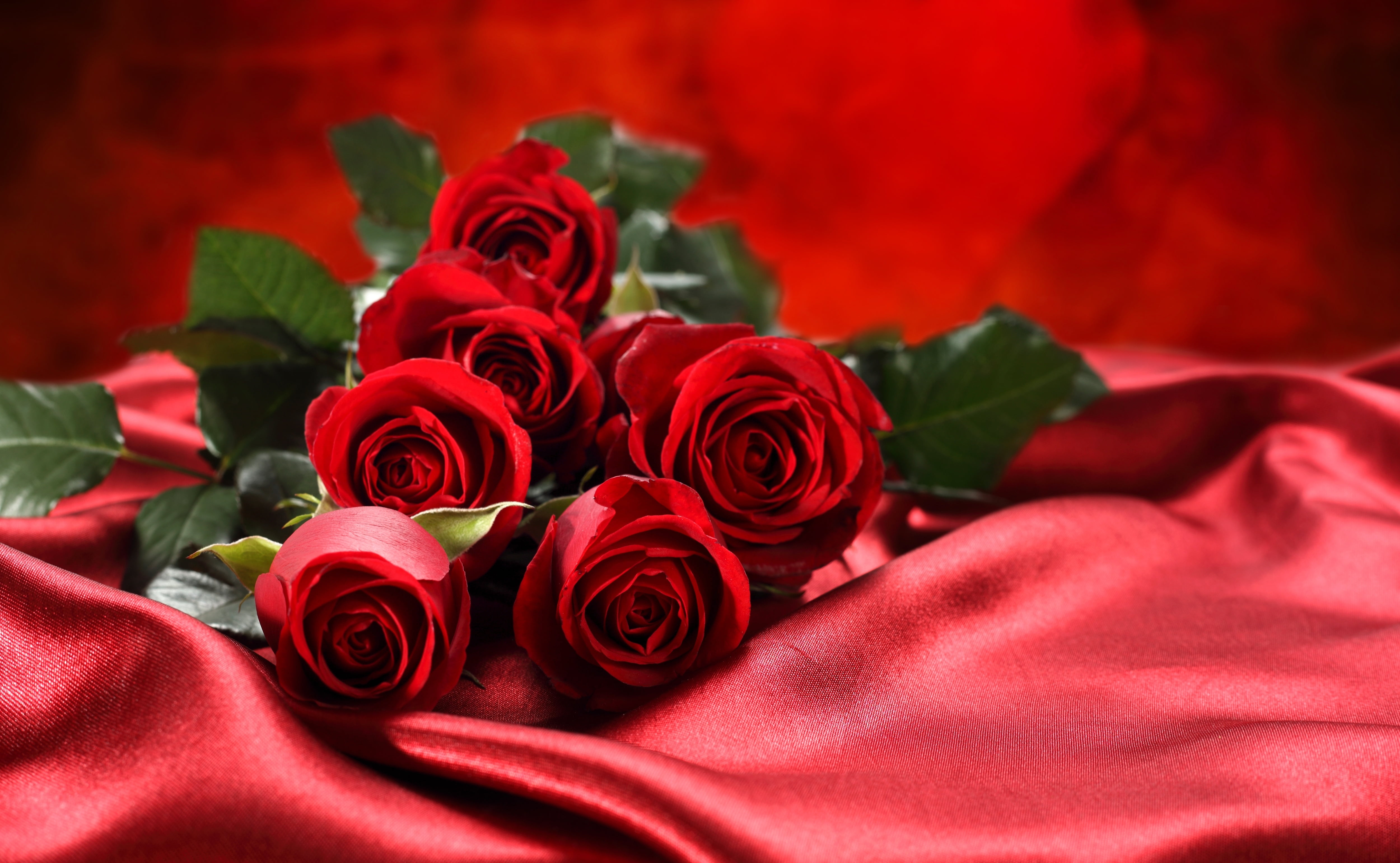 red roses, flowers, bouquet, satin fabric, rose - Flower, love