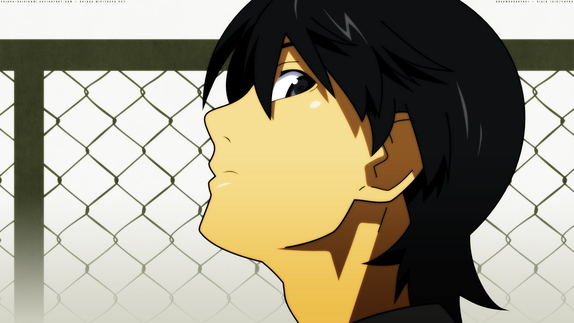 monogatari series