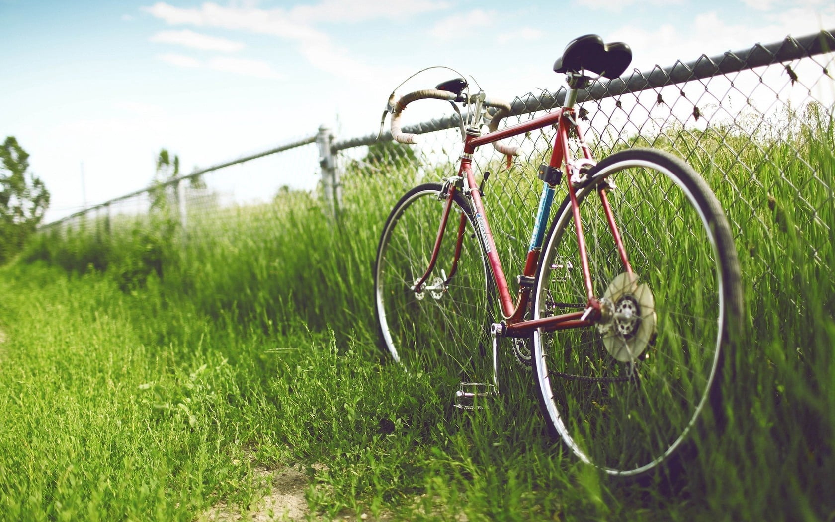 red and black road bike, bicycle, fence, field, grass, summer