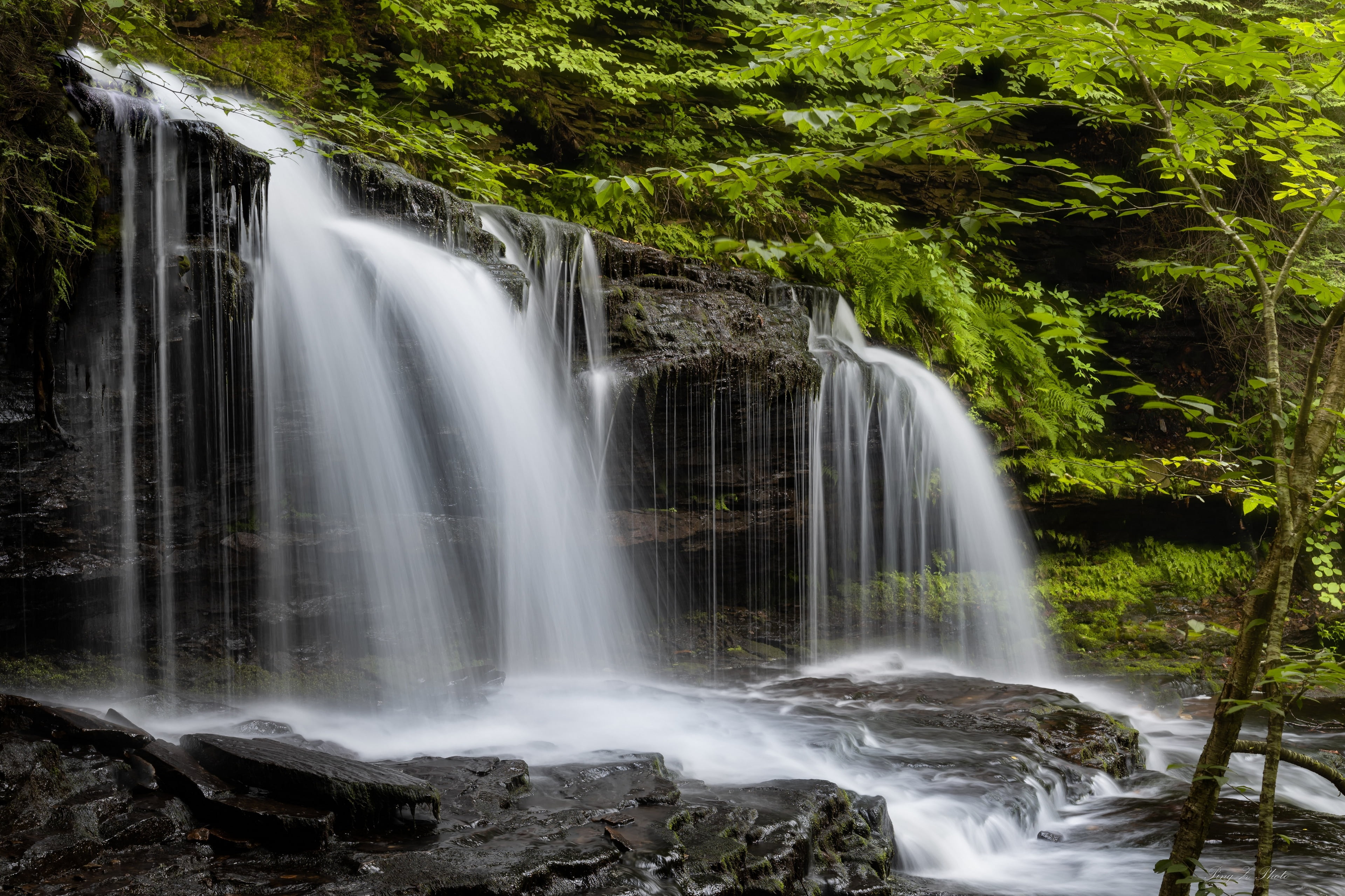 Ricketts Glen State Park, USA, Pennsylvania, nature, waterfall