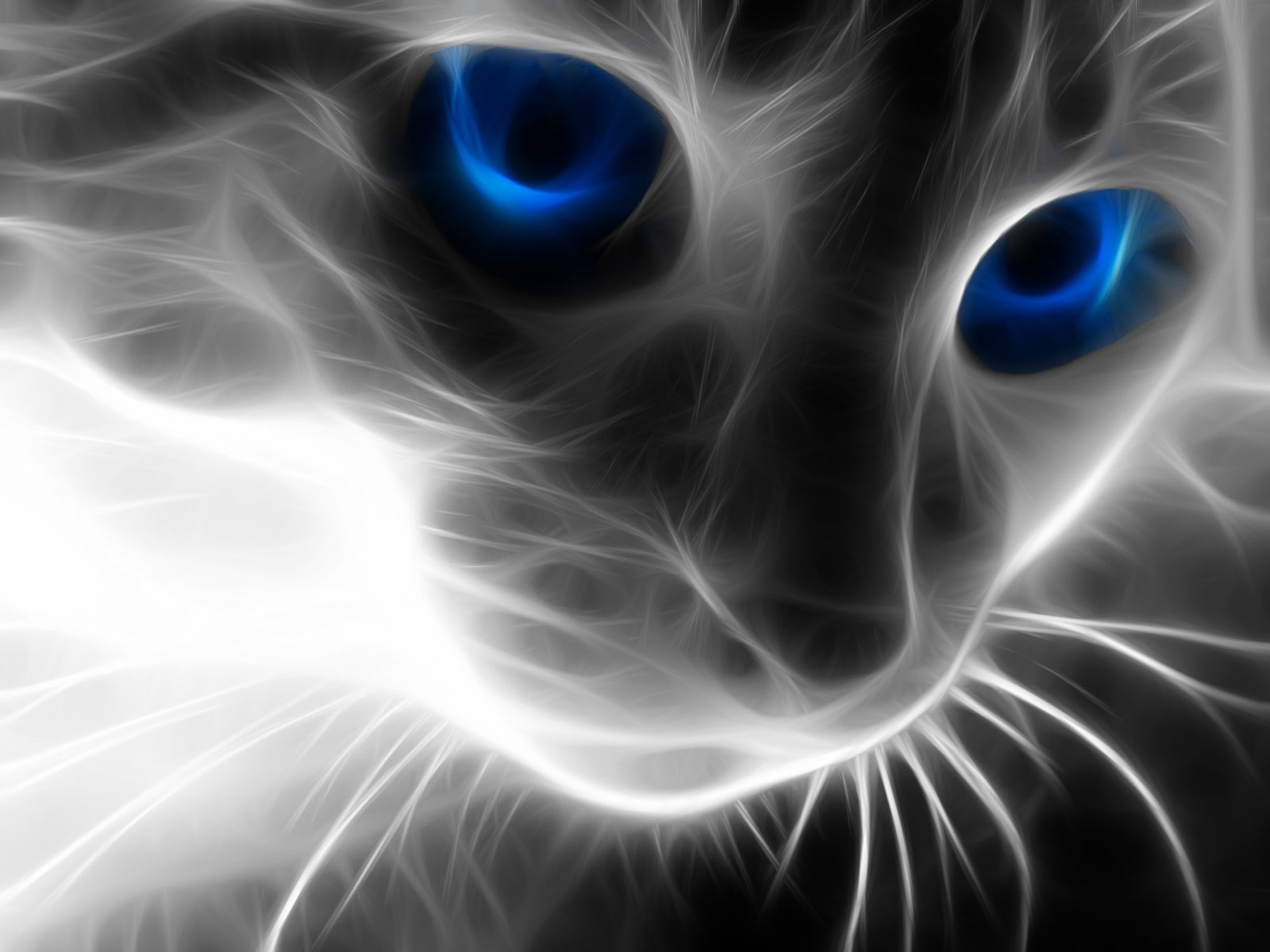 Fractalius, cat, blue eyes, animals